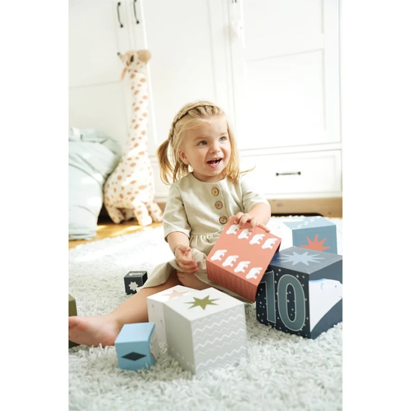 Small Foot Stacking cubes, with arctic animals