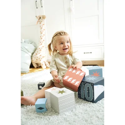 Small Foot Stacking cubes, with arctic animals