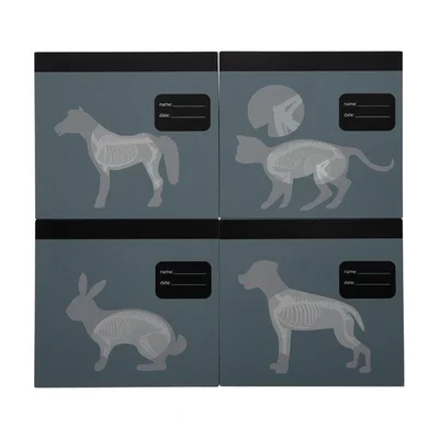 Small Foot Veterinary Bag, with medical equipment and bunny