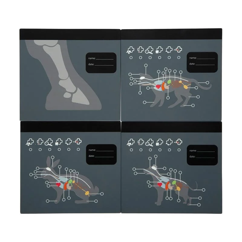 Small Foot Veterinary Bag, with medical equipment and bunny