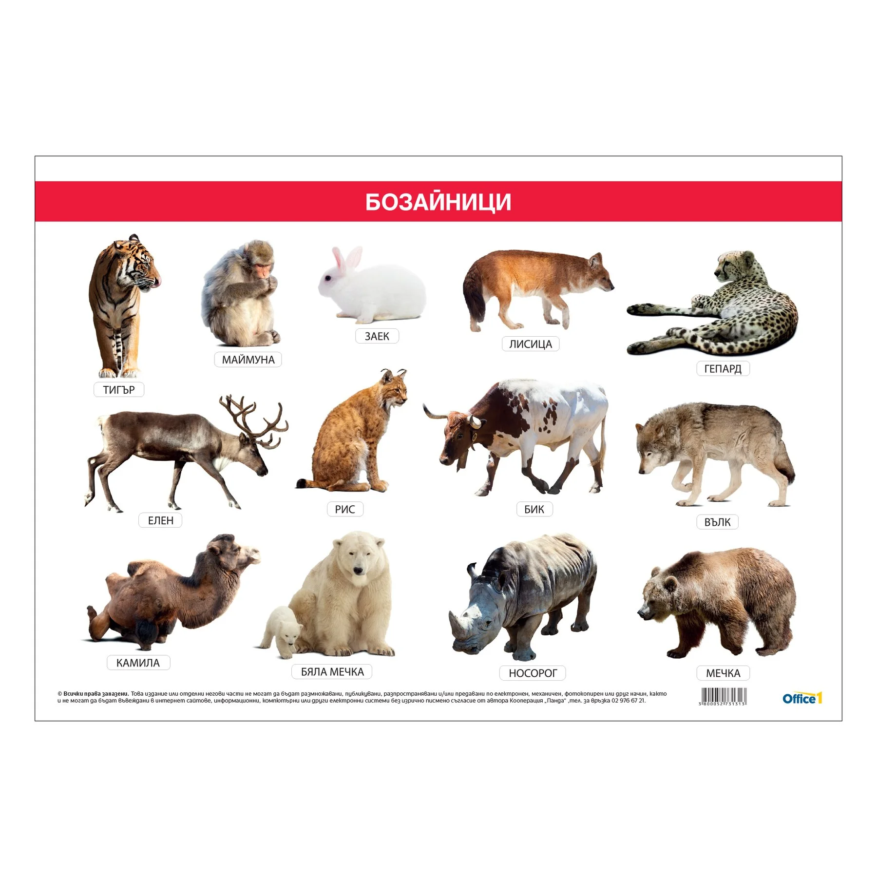 Office 1 School chart "Mammals", 100 x 70 cm