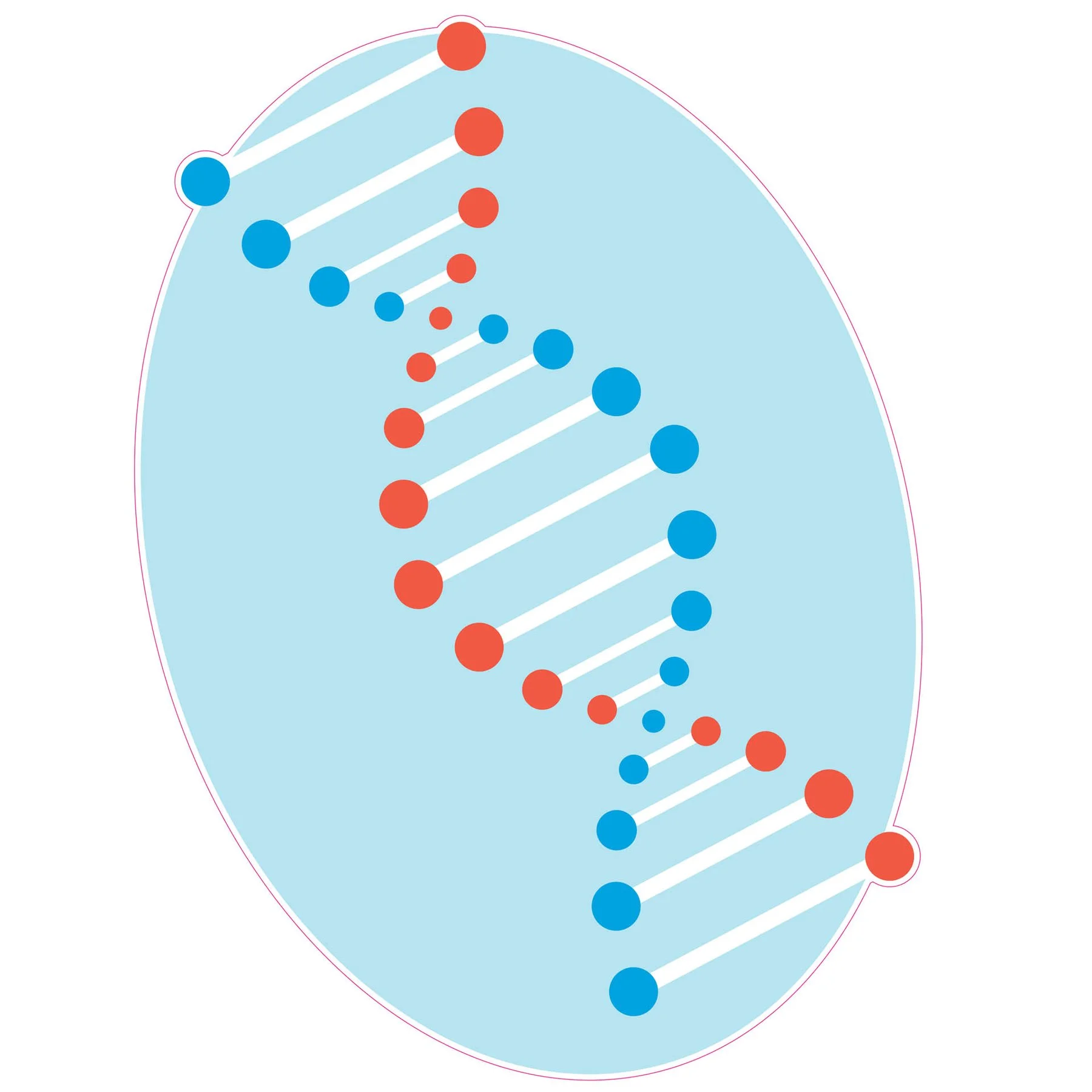 STEM Sticker, Natural sciences - Biology, set F1, 50 cm, sticker 2