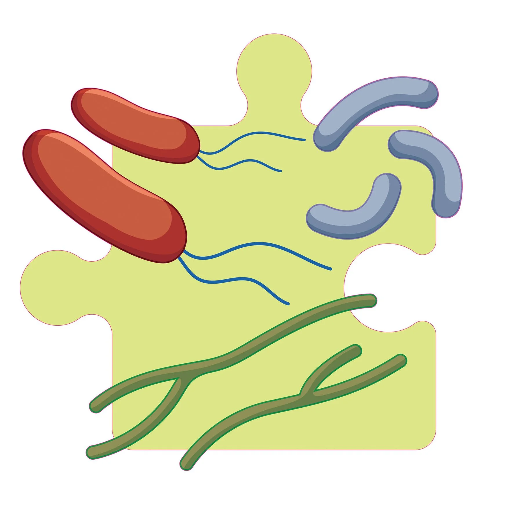 STEM Sticker, Natural Sciences - Biology, Set F3, 50 cm, Sticker 5