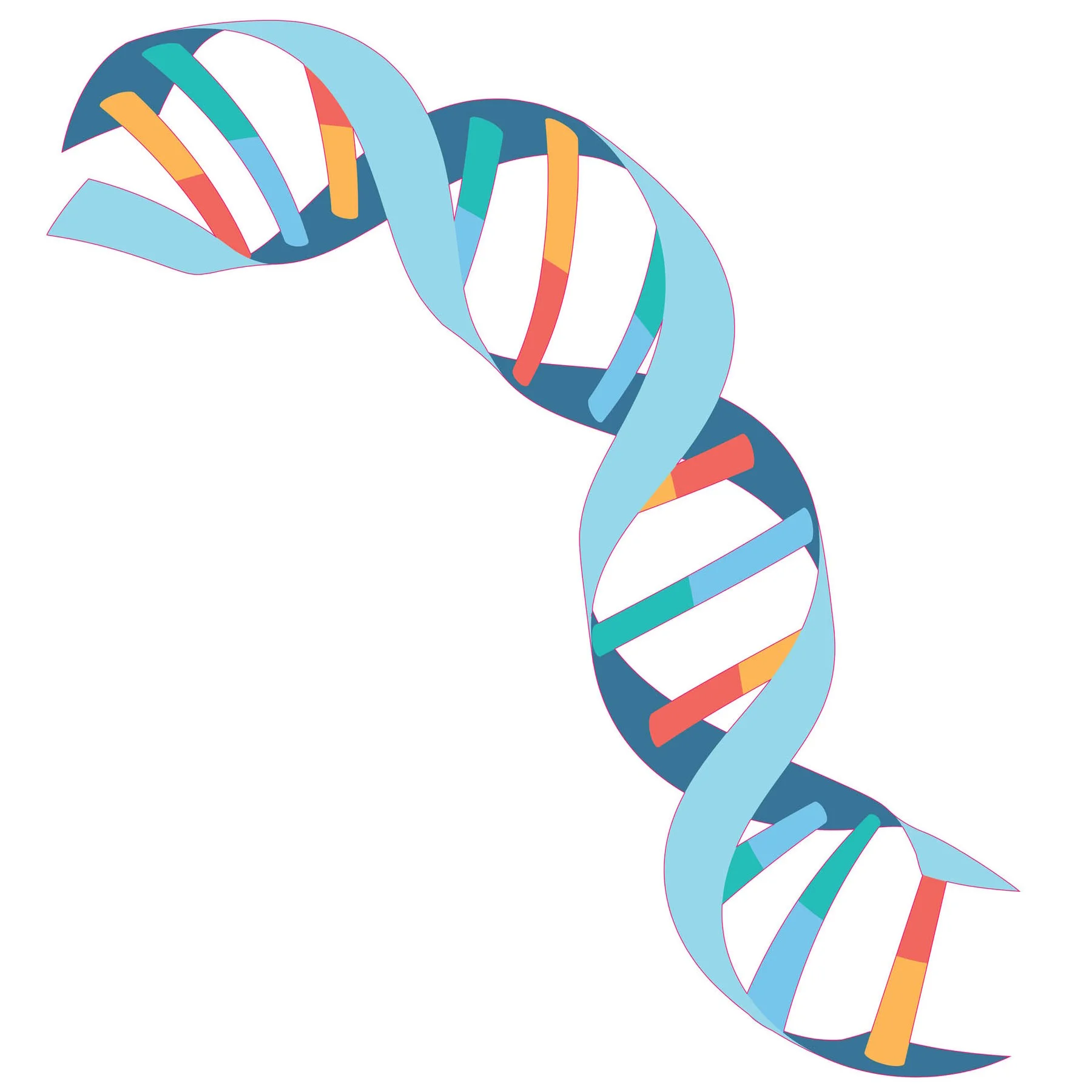 STEM Sticker, Natural Sciences – Biology, set F3, 50 cm, sticker 9