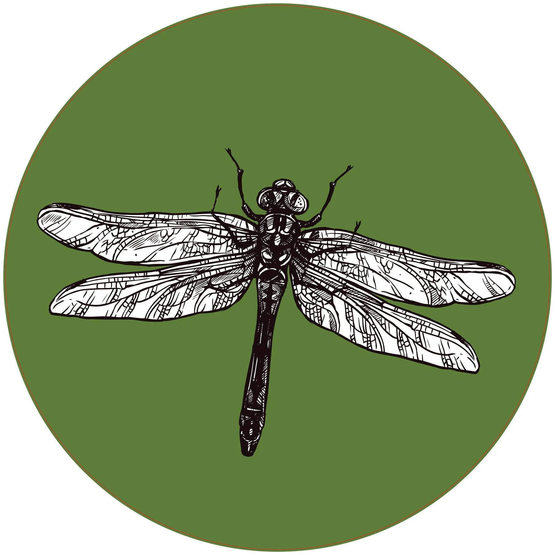 STEM Sticker, Natural Sciences – Biology, set F6, 50 cm, sticker 7
