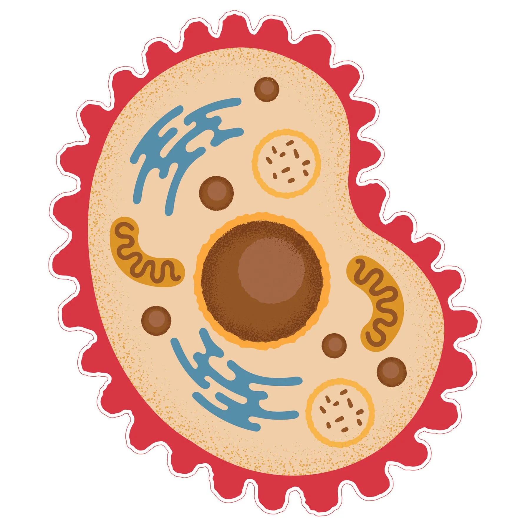 STEM Sticker, Natural Sciences – Biology, set F7, 50 cm, sticker 7