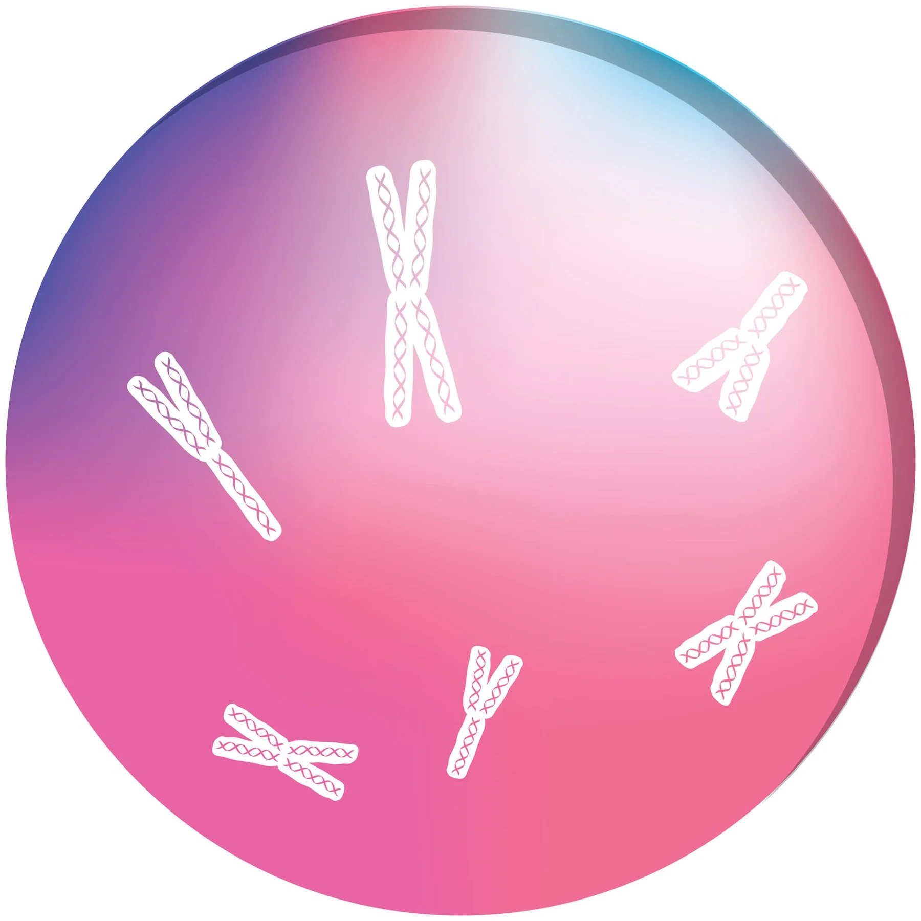 STEM Sticker, Natural Sciences - Chemistry, set H7, 50 cm, sticker 8