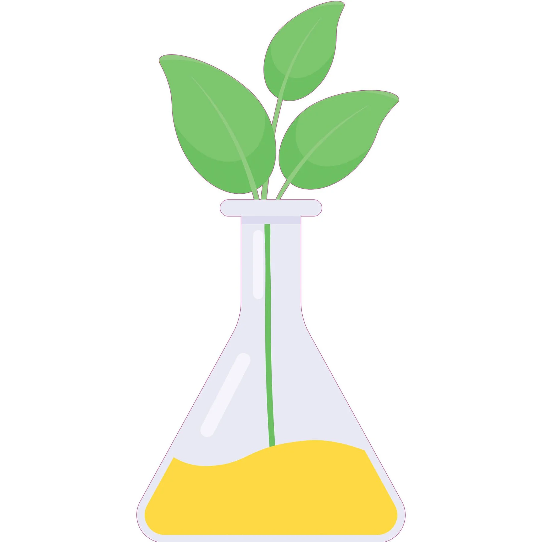 STEM Sticker, Natural Sciences - Biology, Set F3, 80 cm, Sticker 8