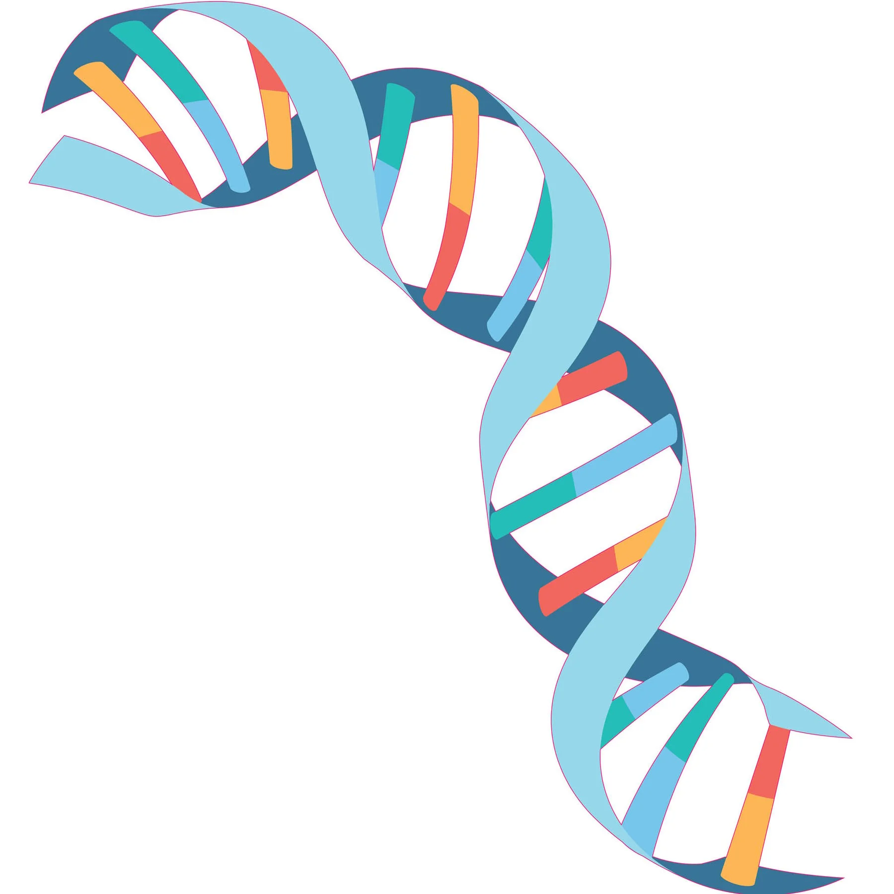 STEM Sticker, Natural Sciences – Biology, Set F3, 80 cm, Sticker 9