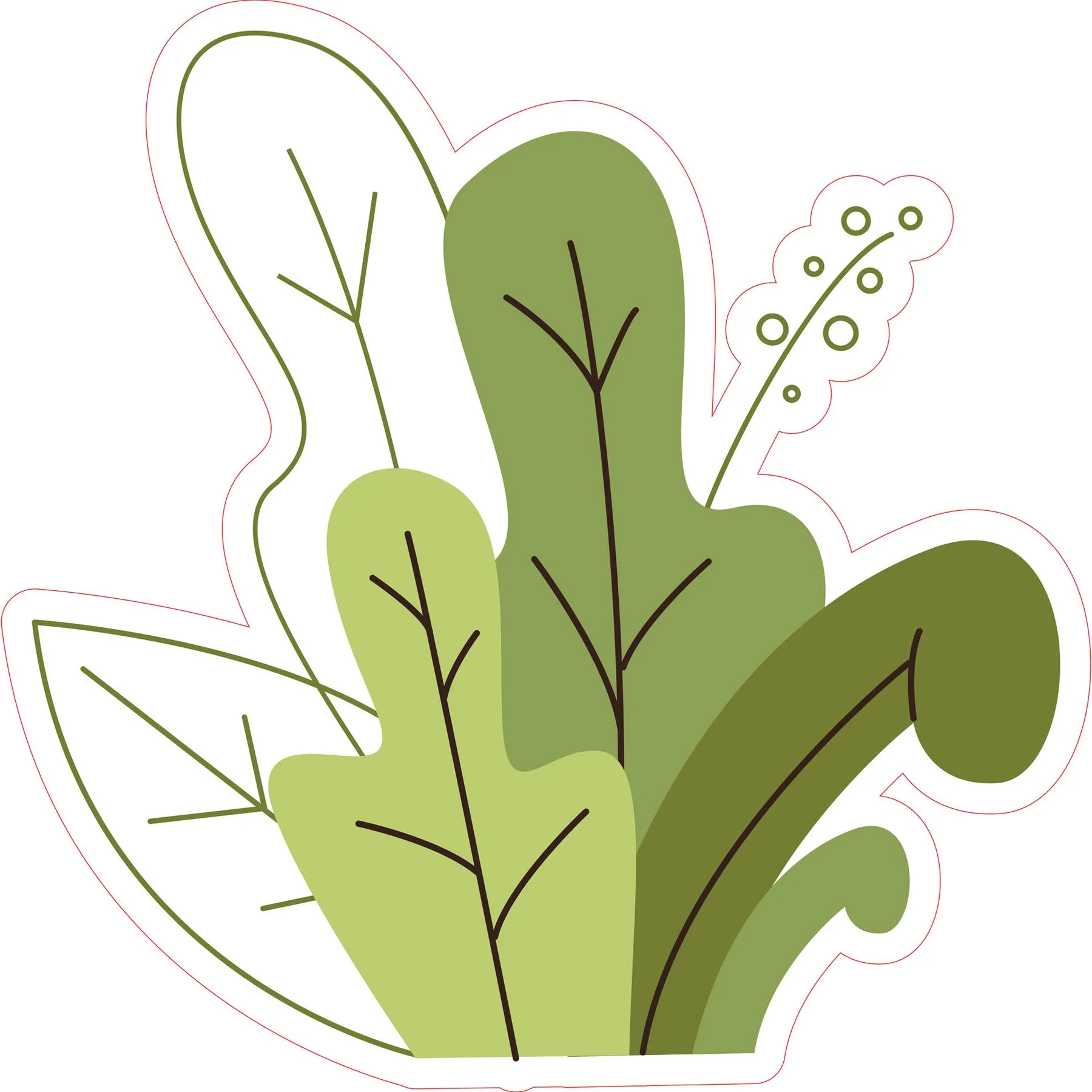 STEM Sticker, Natural Sciences - Biology, set F5, 80 cm, sticker 4