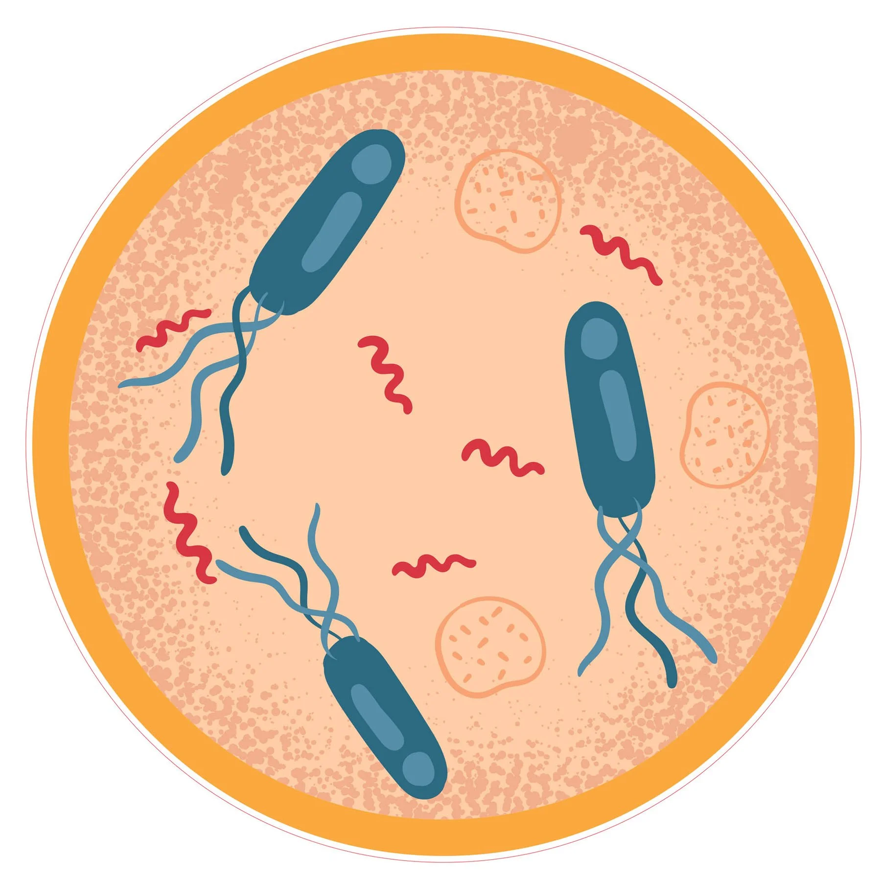 STEM Sticker, Natural sciences - Biology, set F7, 80 cm, sticker 3
