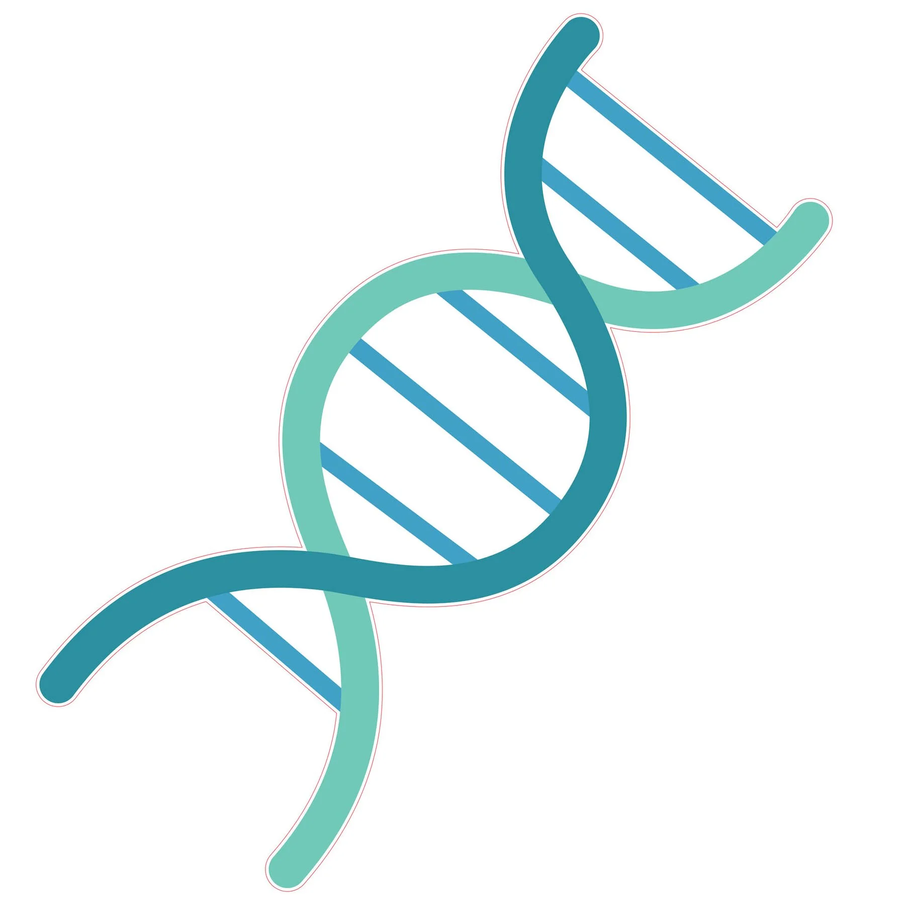 STEM Sticker, Natural Sciences - Biology, set F8, 80 cm, sticker 4