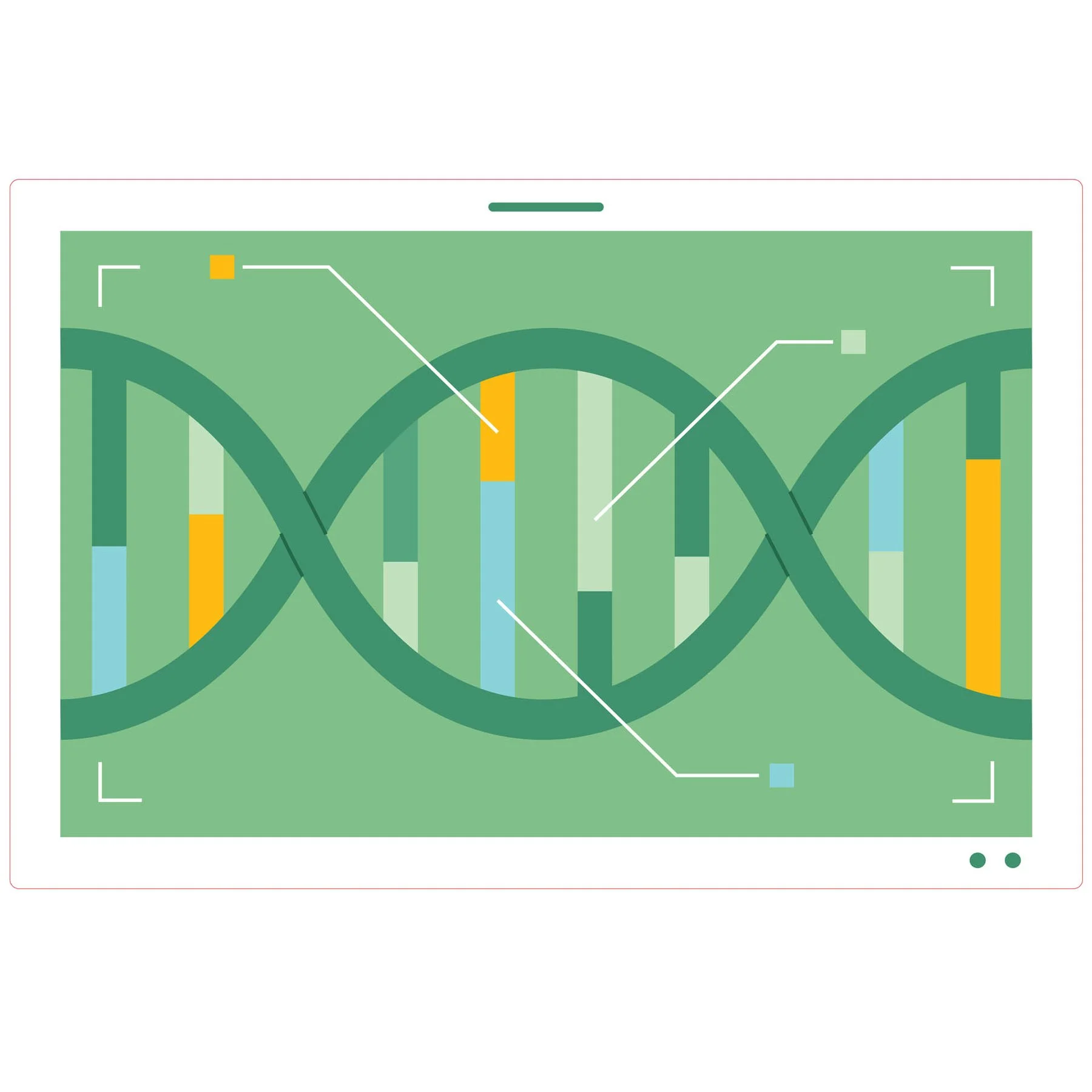 STEM Sticker, Natural sciences – Biology, set F8, 80 cm, sticker 8
