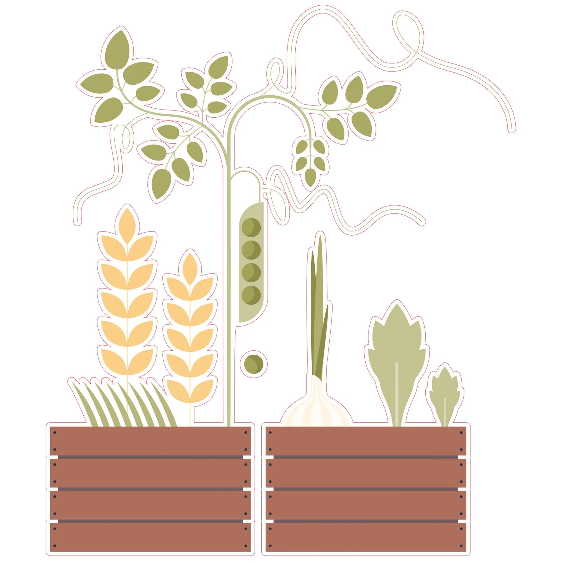 STEM Sticker, Natural sciences - Biology, set F10, 80 cm, sticker 3