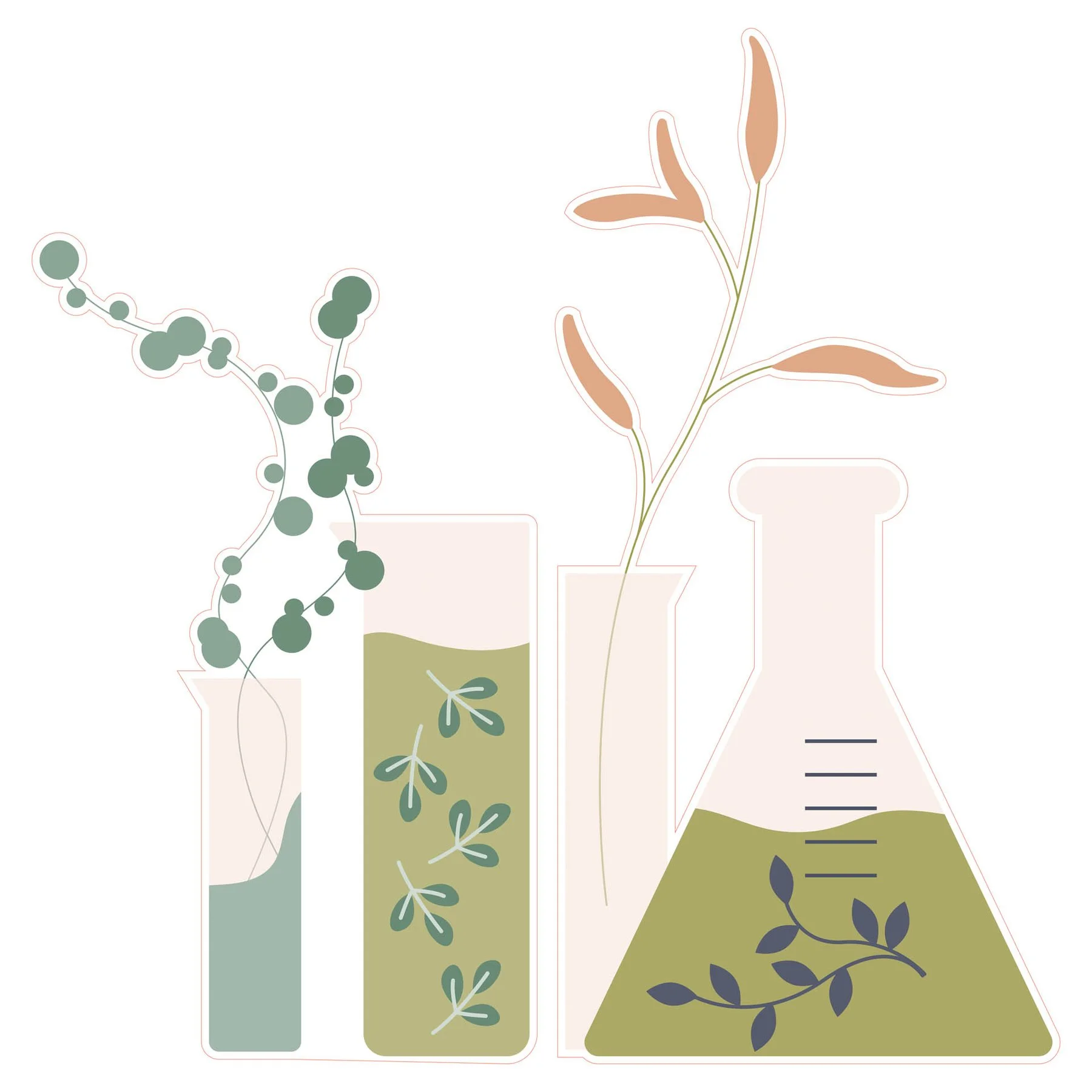 STEM Sticker, Natural Sciences – Biology, set F10, 80 cm, sticker 4