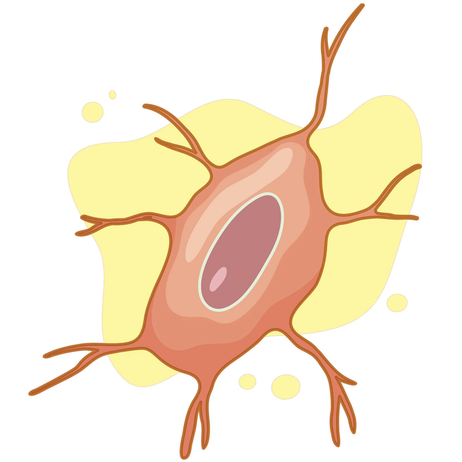 STEM Sticker, Natural Sciences - Biology, Set F2, 100 cm, Sticker 6