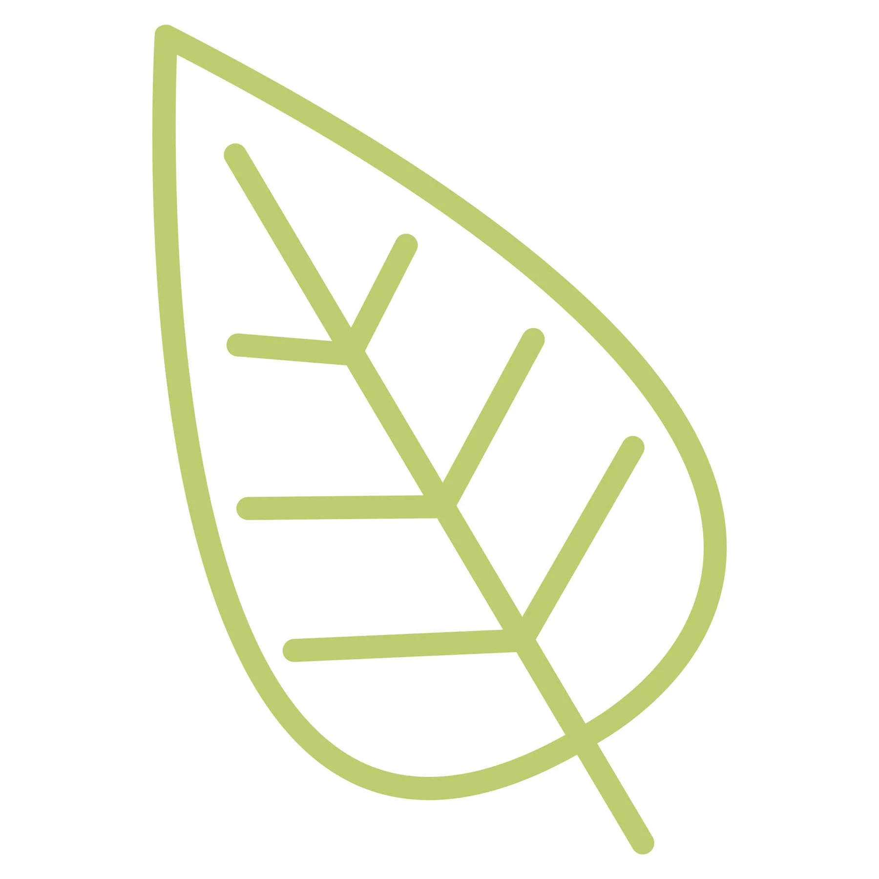 STEM Sticker, Natural Sciences – Biology, set F5, 100 cm, sticker 5