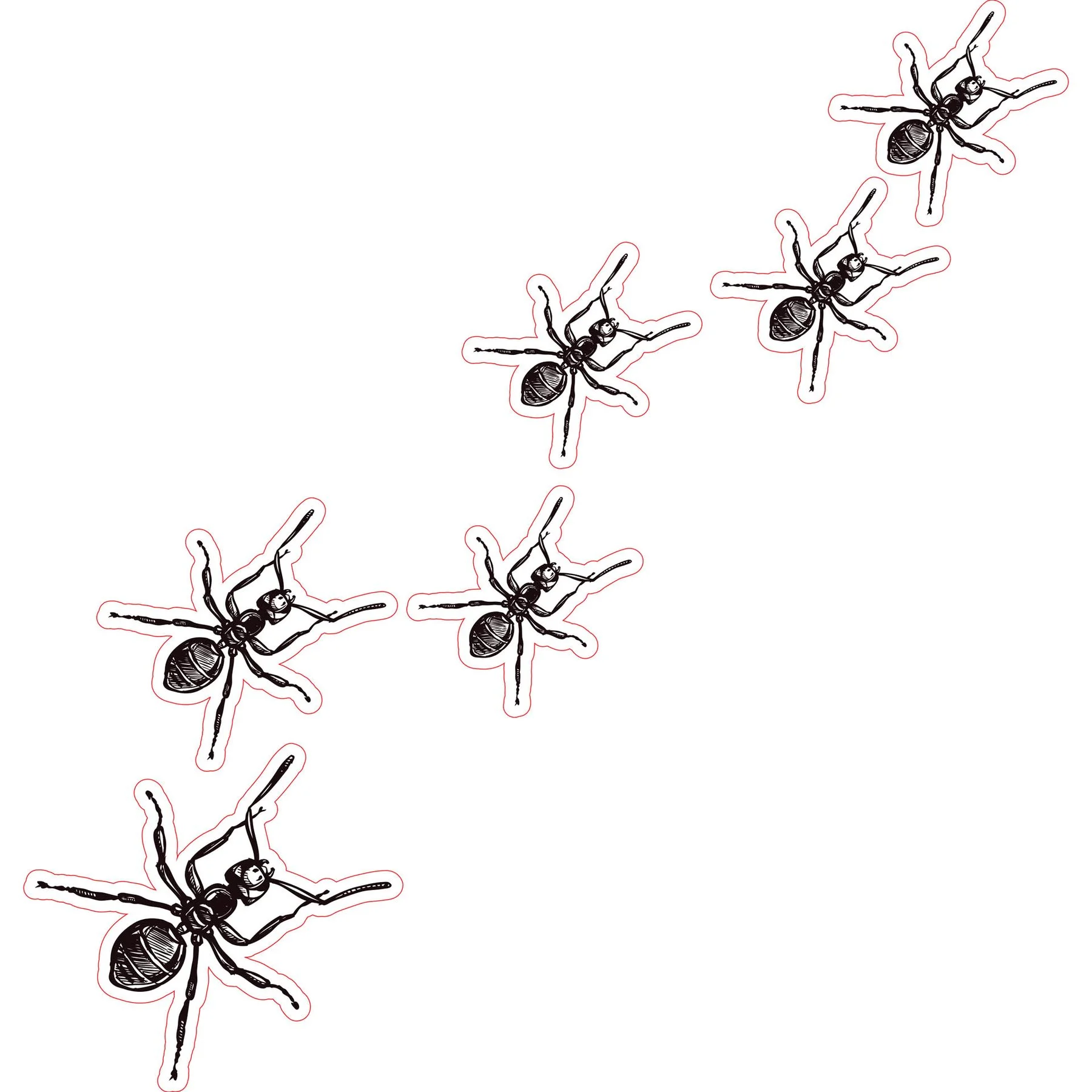 STEM Sticker, Natural Sciences - Biology, set F6, 100 cm, sticker 10