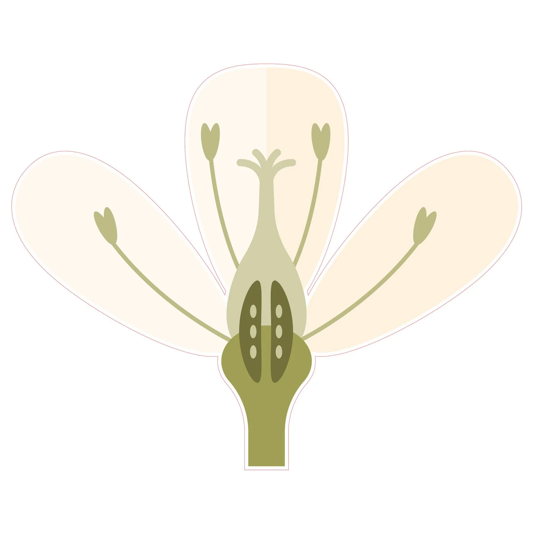 STEM Sticker, Natural Sciences - Biology, set F10, 100 cm, sticker 1