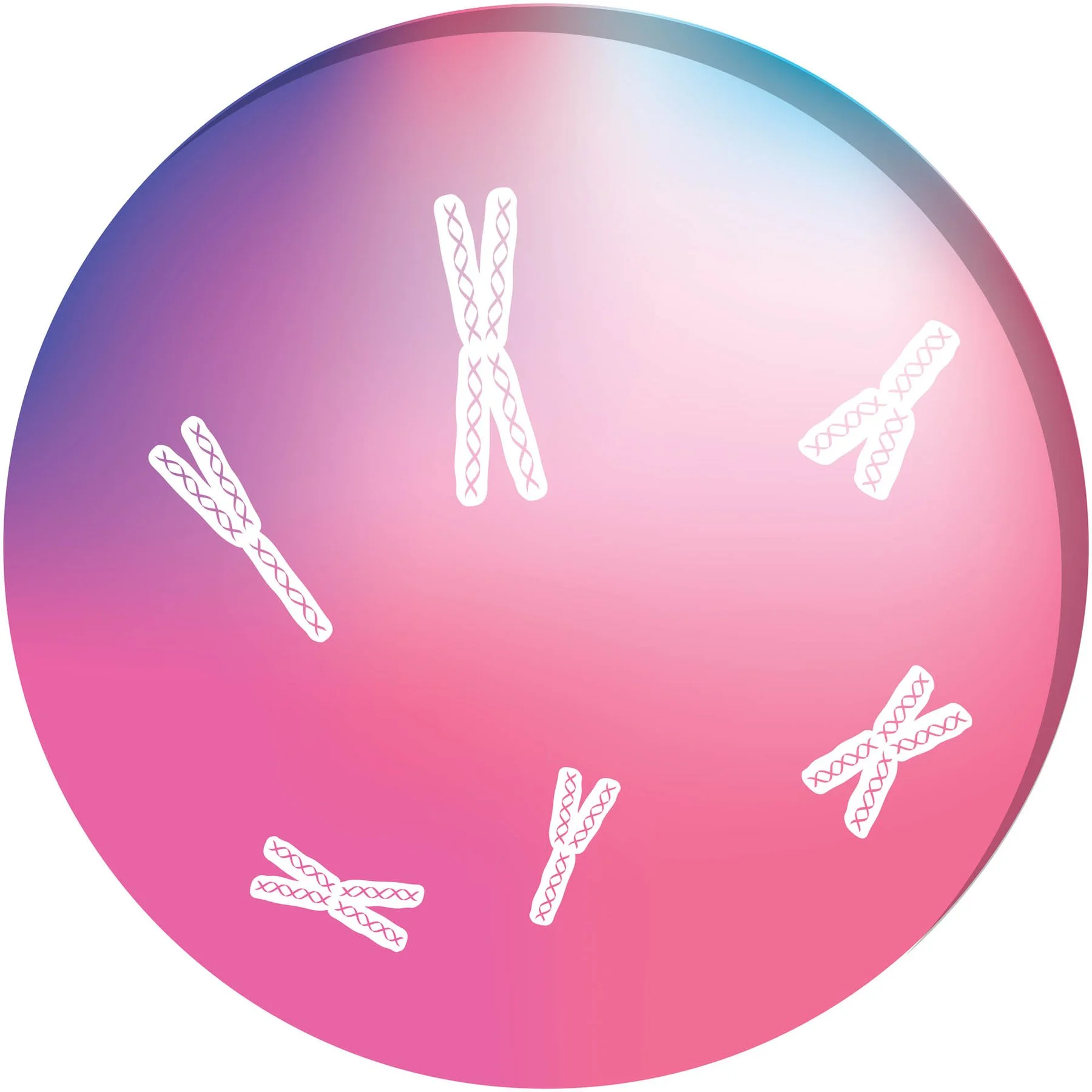 STEM Sticker, Natural Sciences - Chemistry, Set H7, 100 cm, Sticker 8