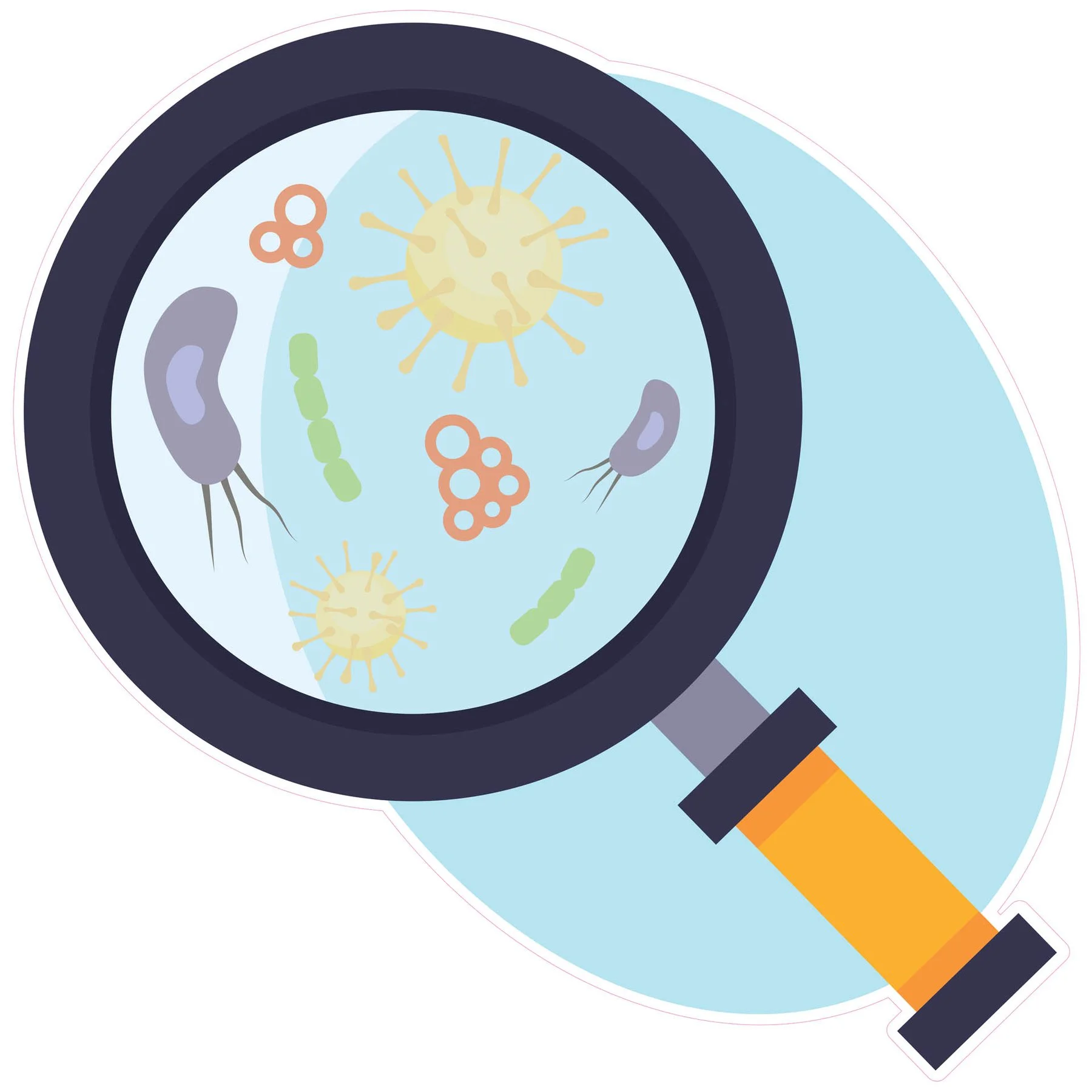 STEM Sticker, Natural Sciences - Biology, Set F1, 150 cm, Sticker 3