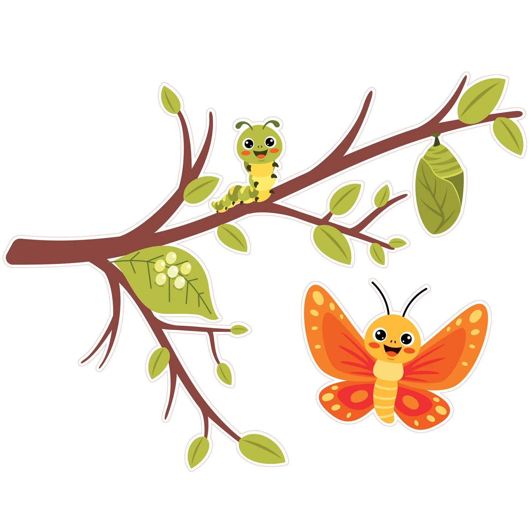 STEM Sticker, Natural Sciences - Biology, set F1, 150 cm, sticker 7