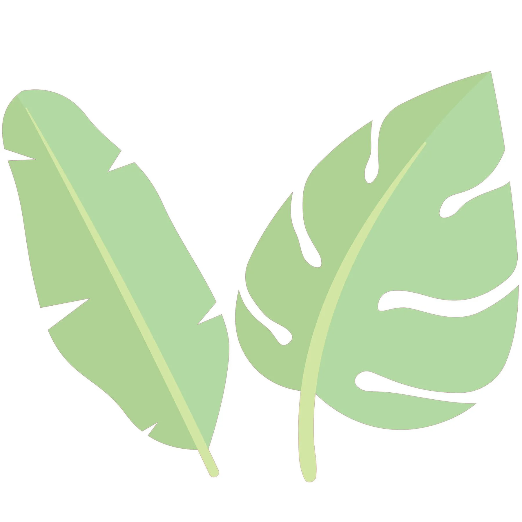 STEM Sticker, Natural Sciences – Biology, set F2, 150 cm, sticker 10