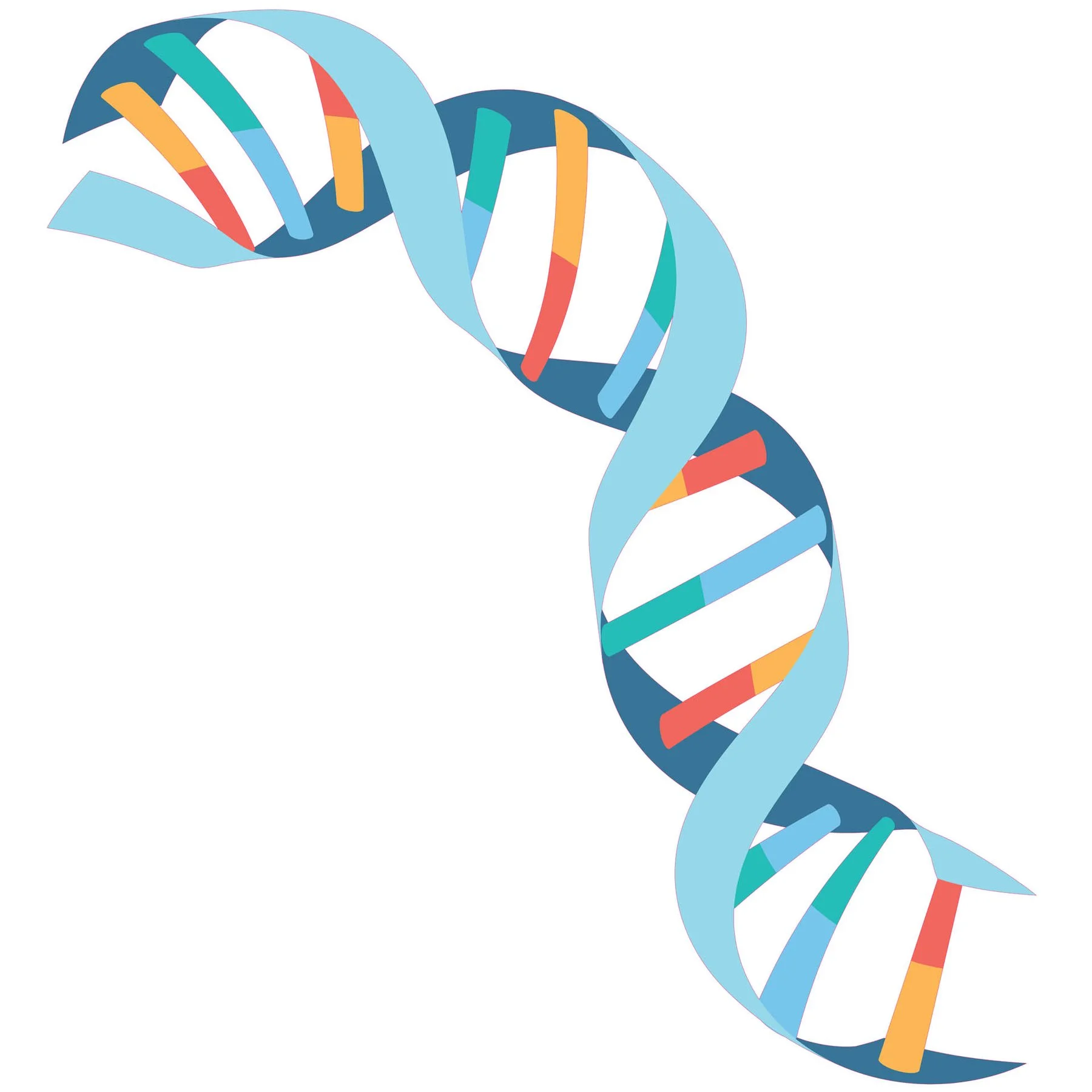 STEM Sticker, Natural Sciences – Biology, set F3, 150 cm, sticker 9