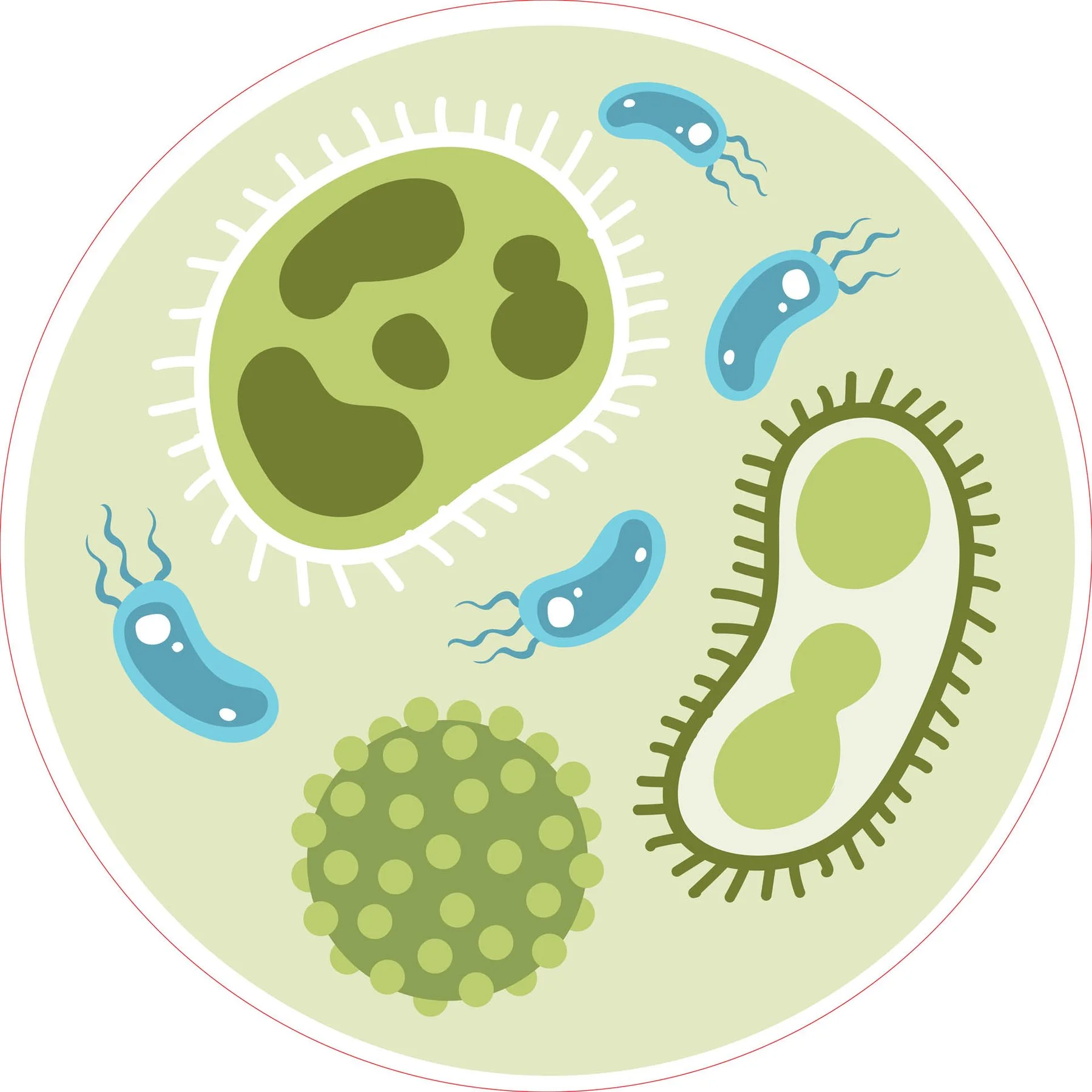 STEM Sticker, Natural Sciences - Biology, set F5, 150 cm, sticker 7