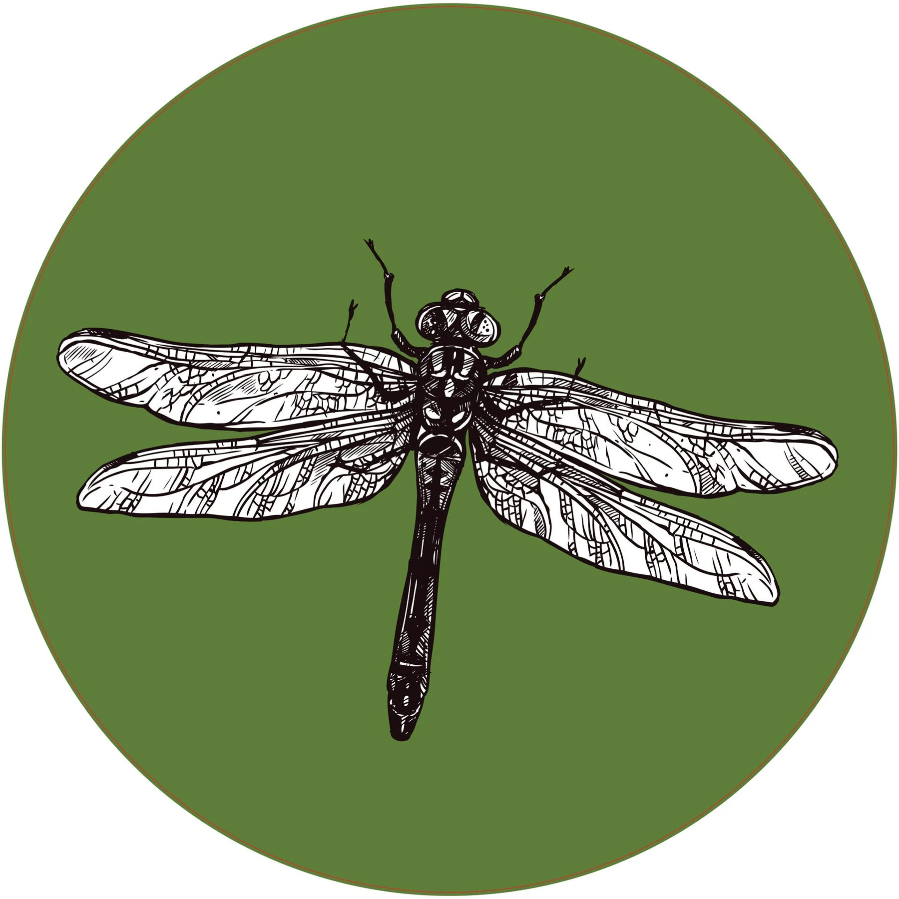 STEM Sticker, Natural Sciences - Biology, set F6, 150 cm, sticker 7