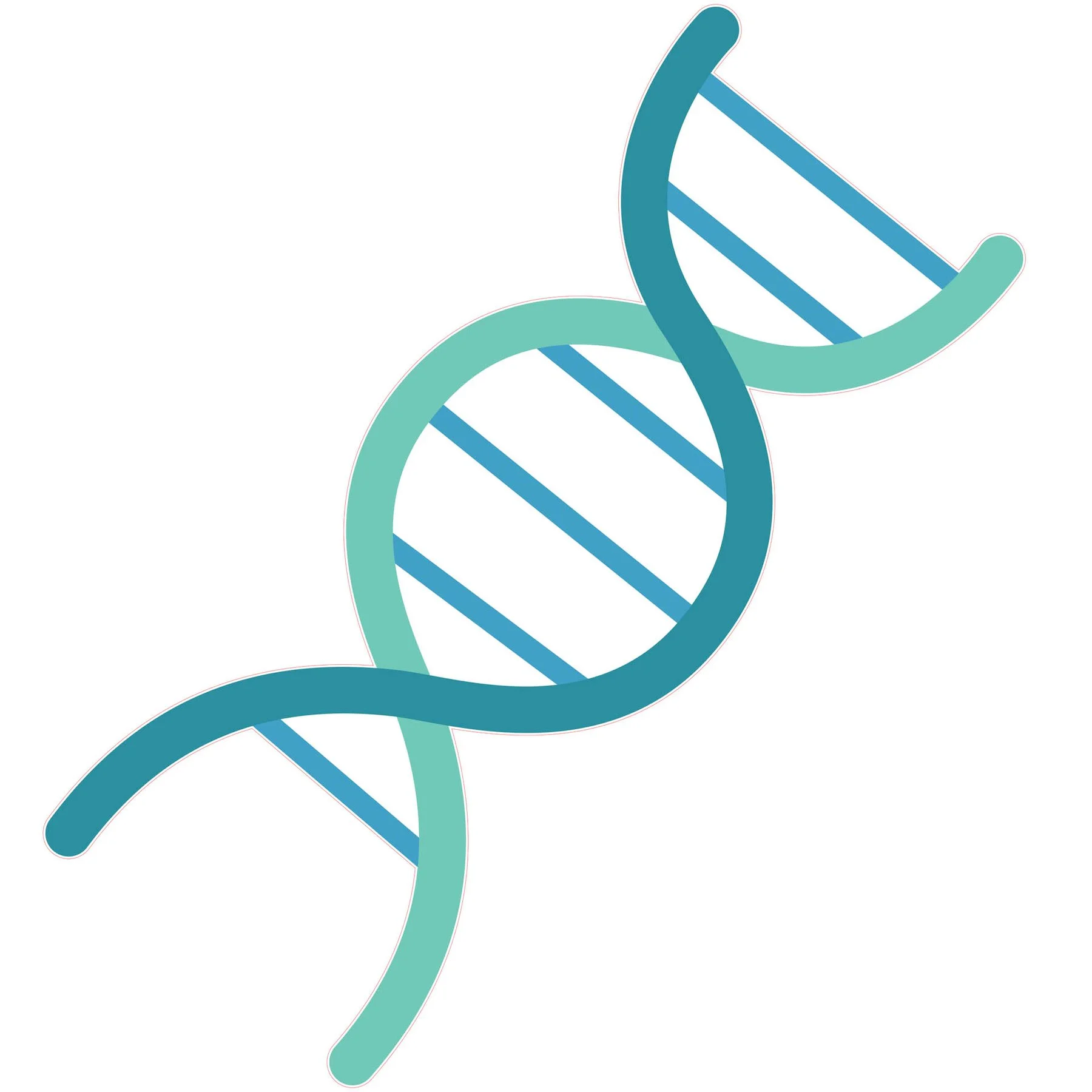 STEM Sticker, Natural Sciences – Biology, set F8, 150 cm, sticker 4