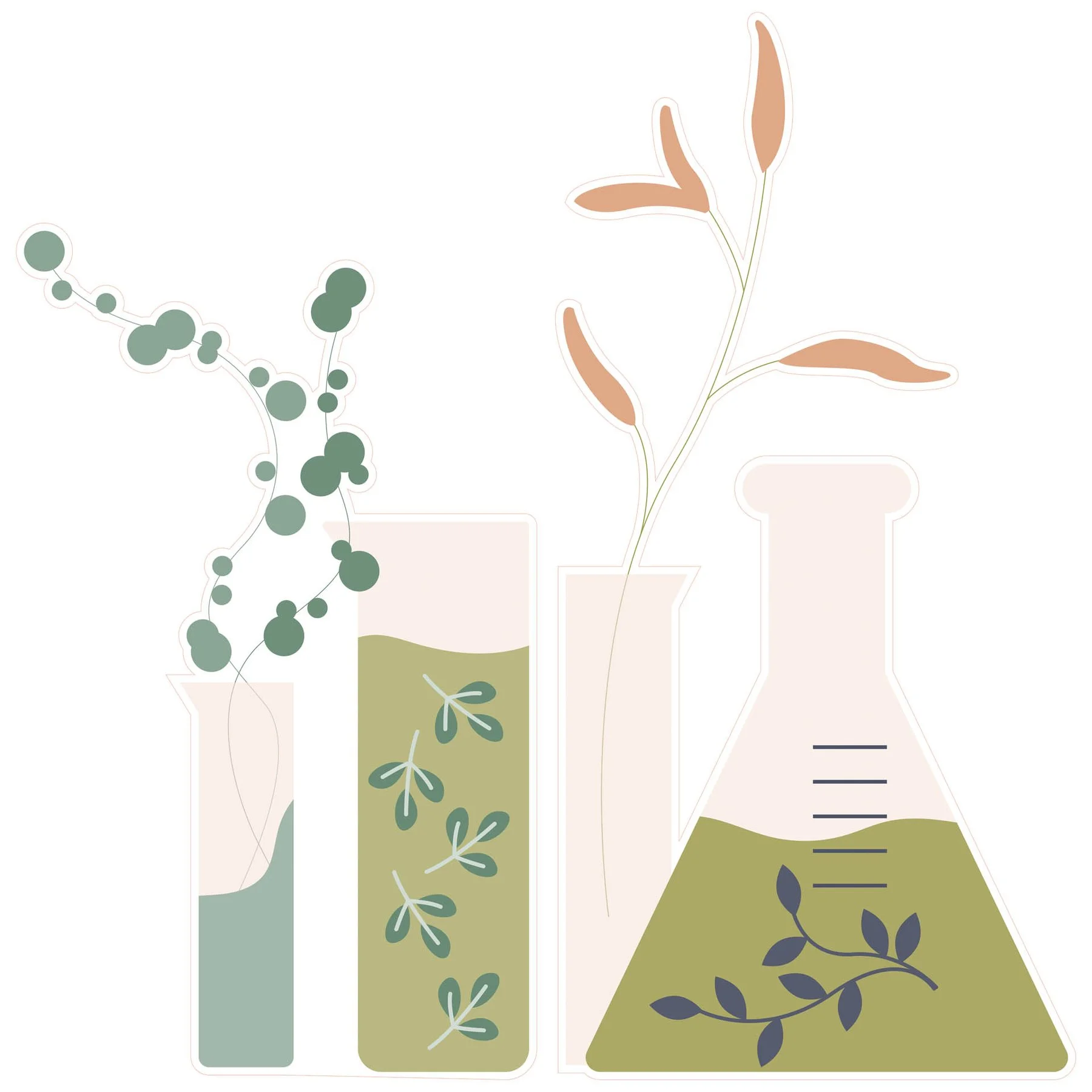 STEM Sticker, Natural sciences - Biology, set F10, 150 cm, sticker 4