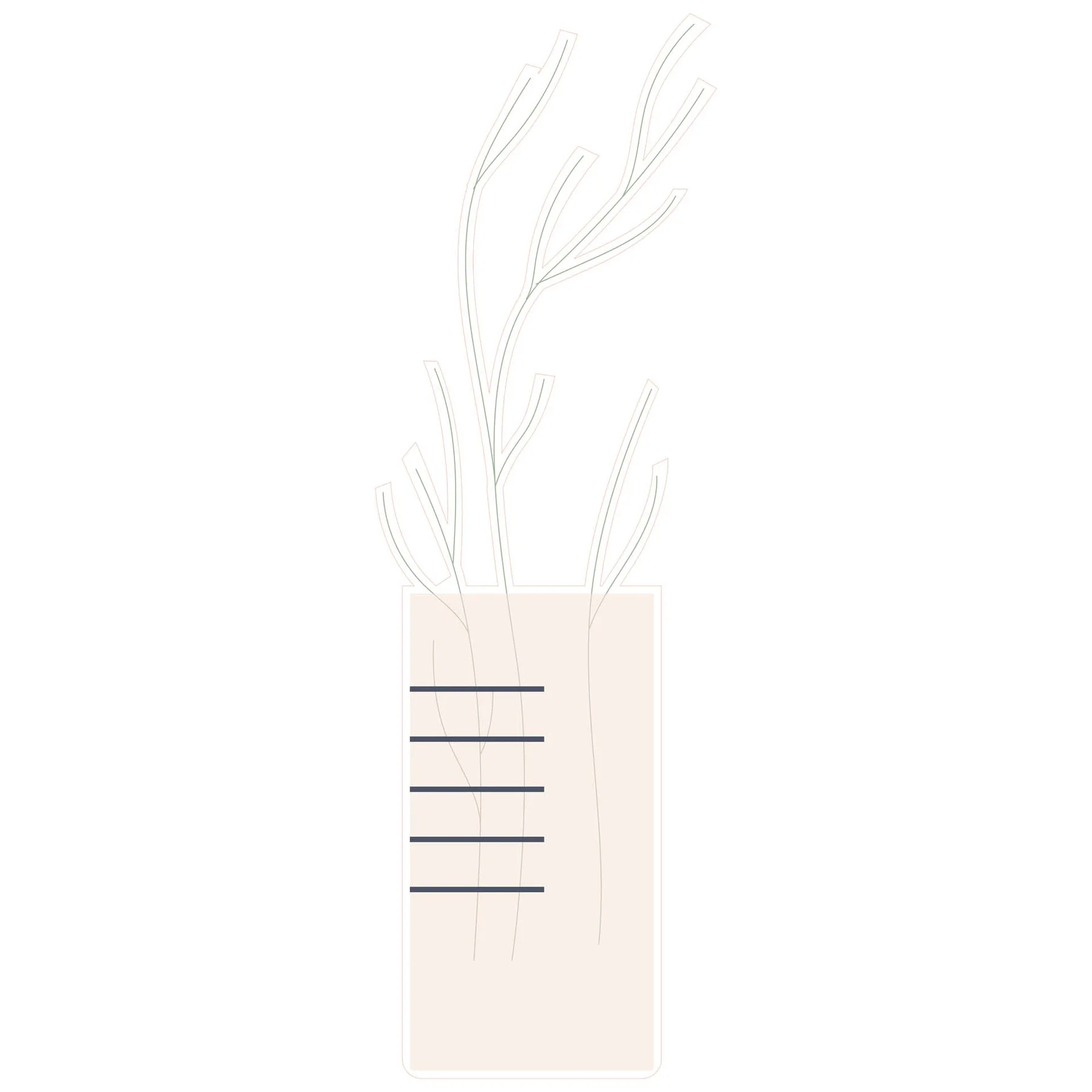 STEM Sticker, Natural sciences - Biology, set F10, 150 cm, sticker 8