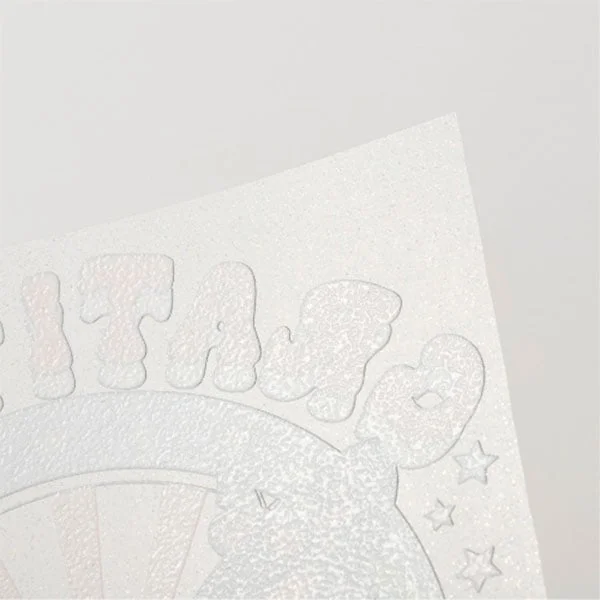 Otter Pro DTF Film, transfer, 0.3 x 10 m, glitter rainbow