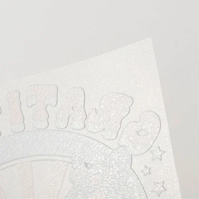 Otter Pro DTF Film, transfer, 0.3 x 10 m, glitter rainbow
