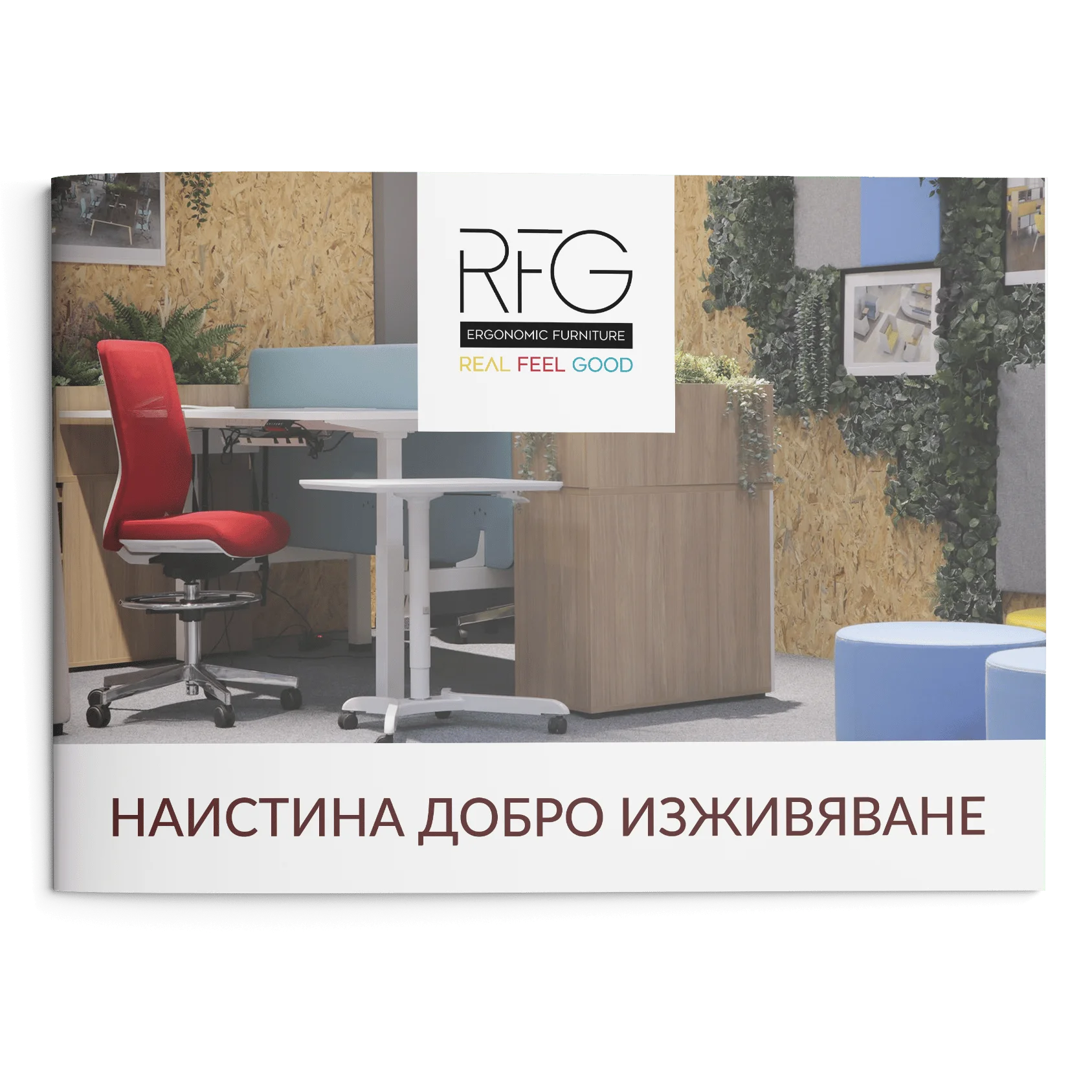 RFG Presentation