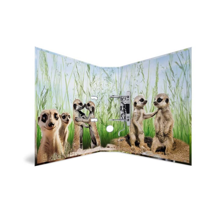 Herma Binder Animals, cardboard, 7 cm, meerkats