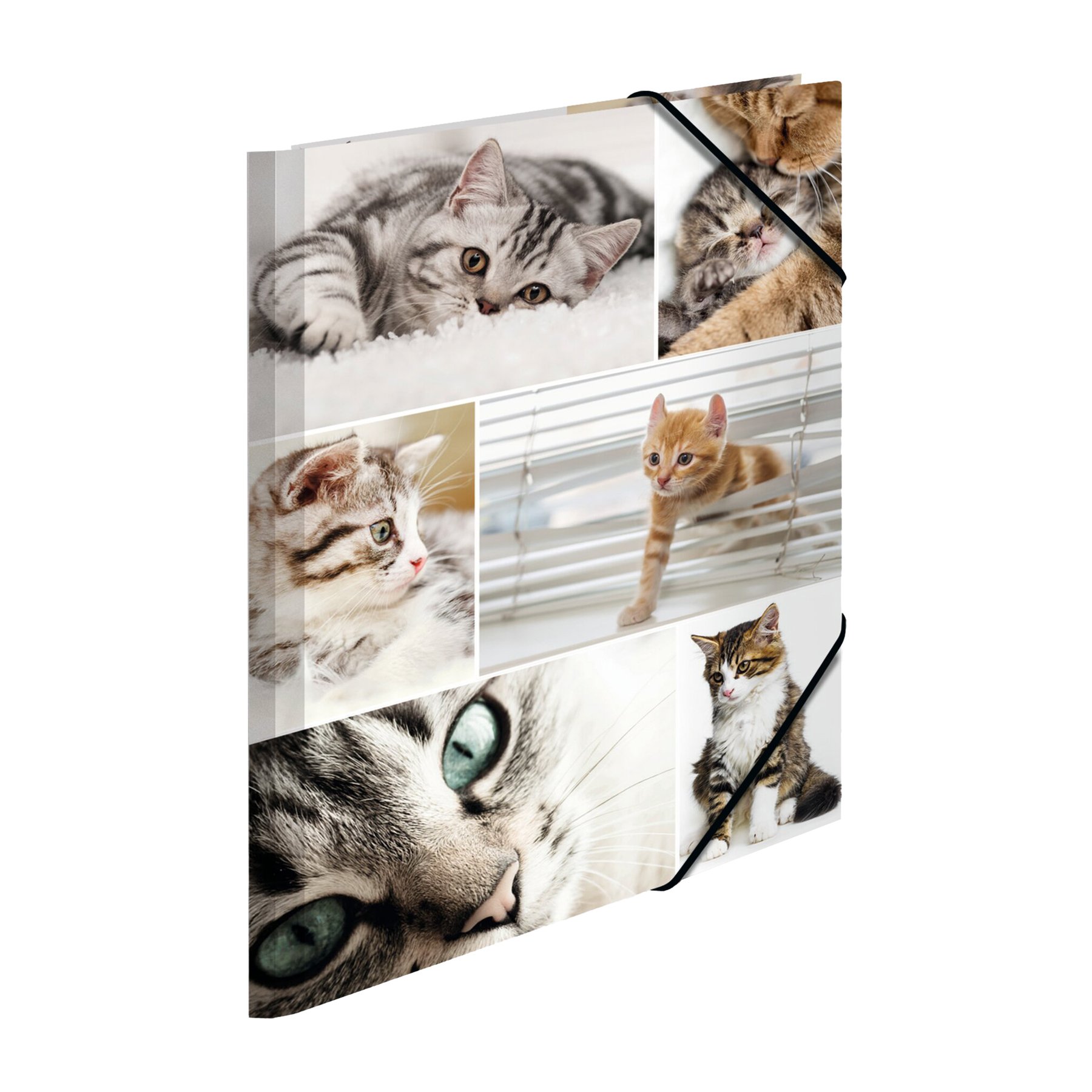 Herma Folder Animals, cardboard, with elastic, A4, cats