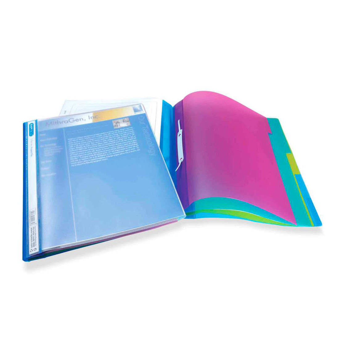 Rapesco Folder, PP, A4, transparent, with 5 dividers