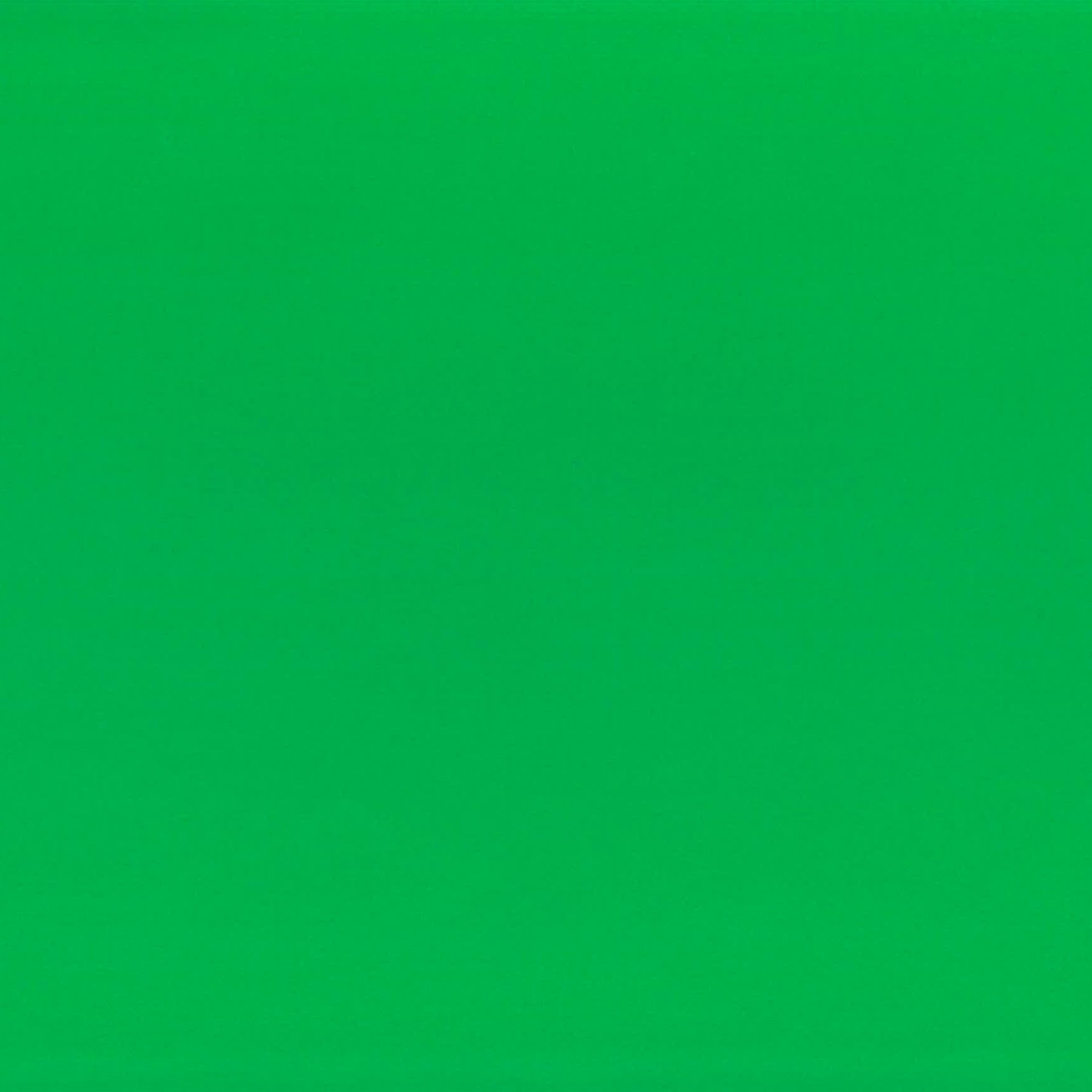 Fabriano Cardboard Elle Erre, 50 x 70 cm, 220 g/m2, No. 111, green