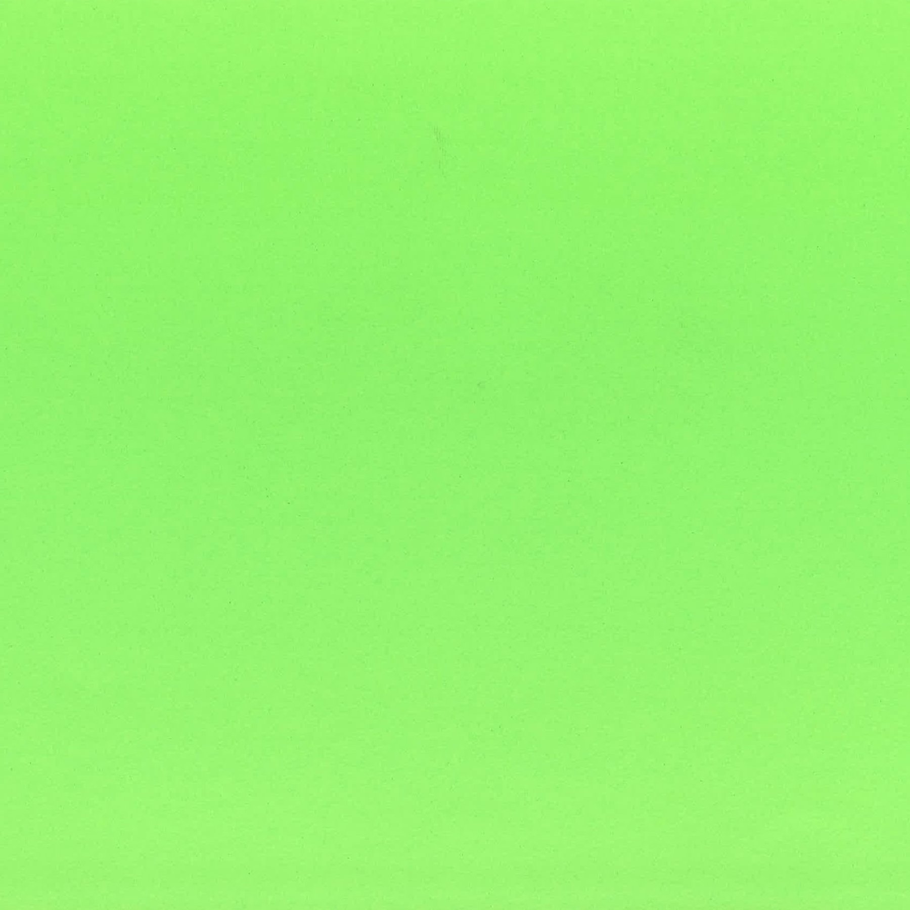 Fabriano Cardboard Elle Erre, 50 x 70 cm, 220 g/m?, No. 110, grass green