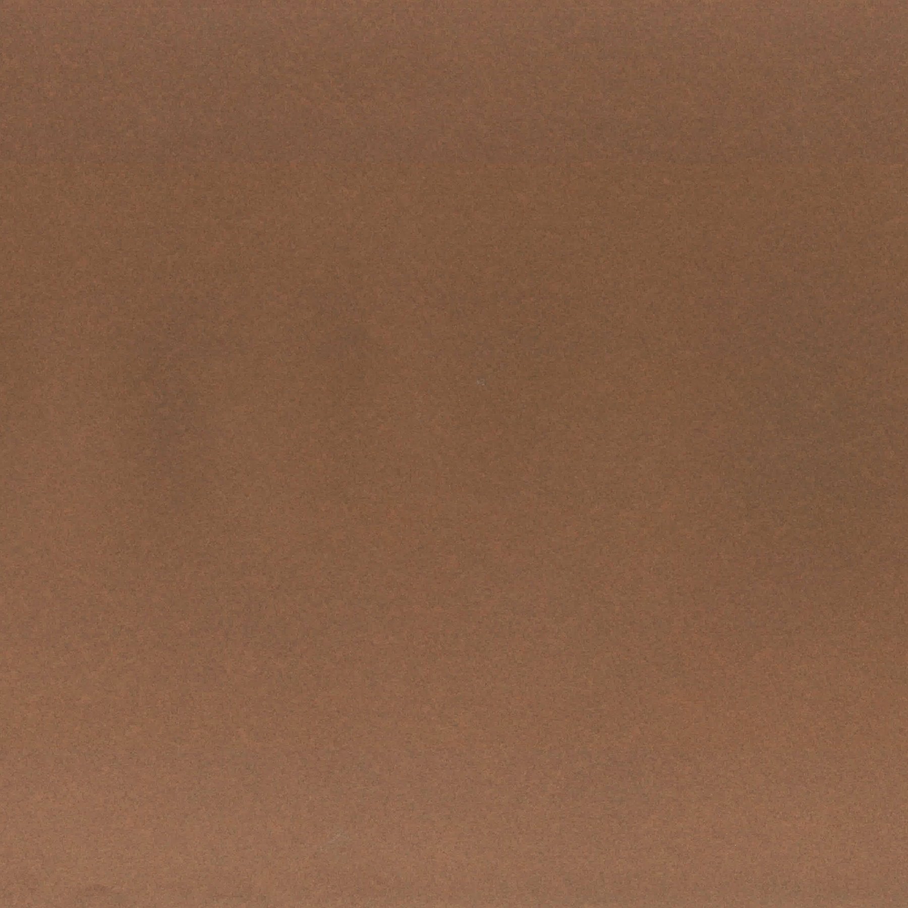 Fabriano Cardboard Elle Erre, 50 x 70 cm, 220 g/m2, No. 106, dark brown