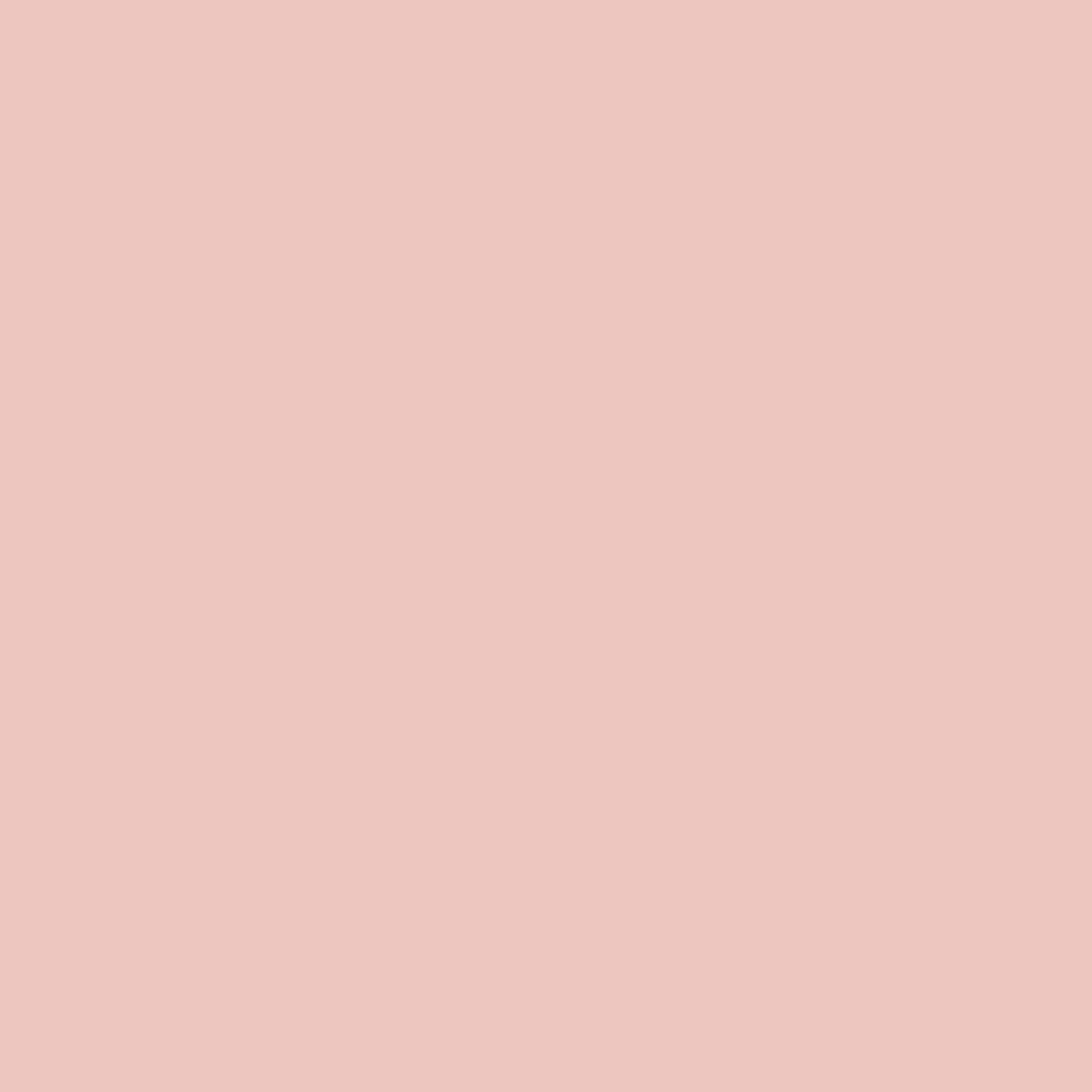 Fabriano Card Elle Erre, 50 x 70 cm, 220 g/m2, No. 116, pink