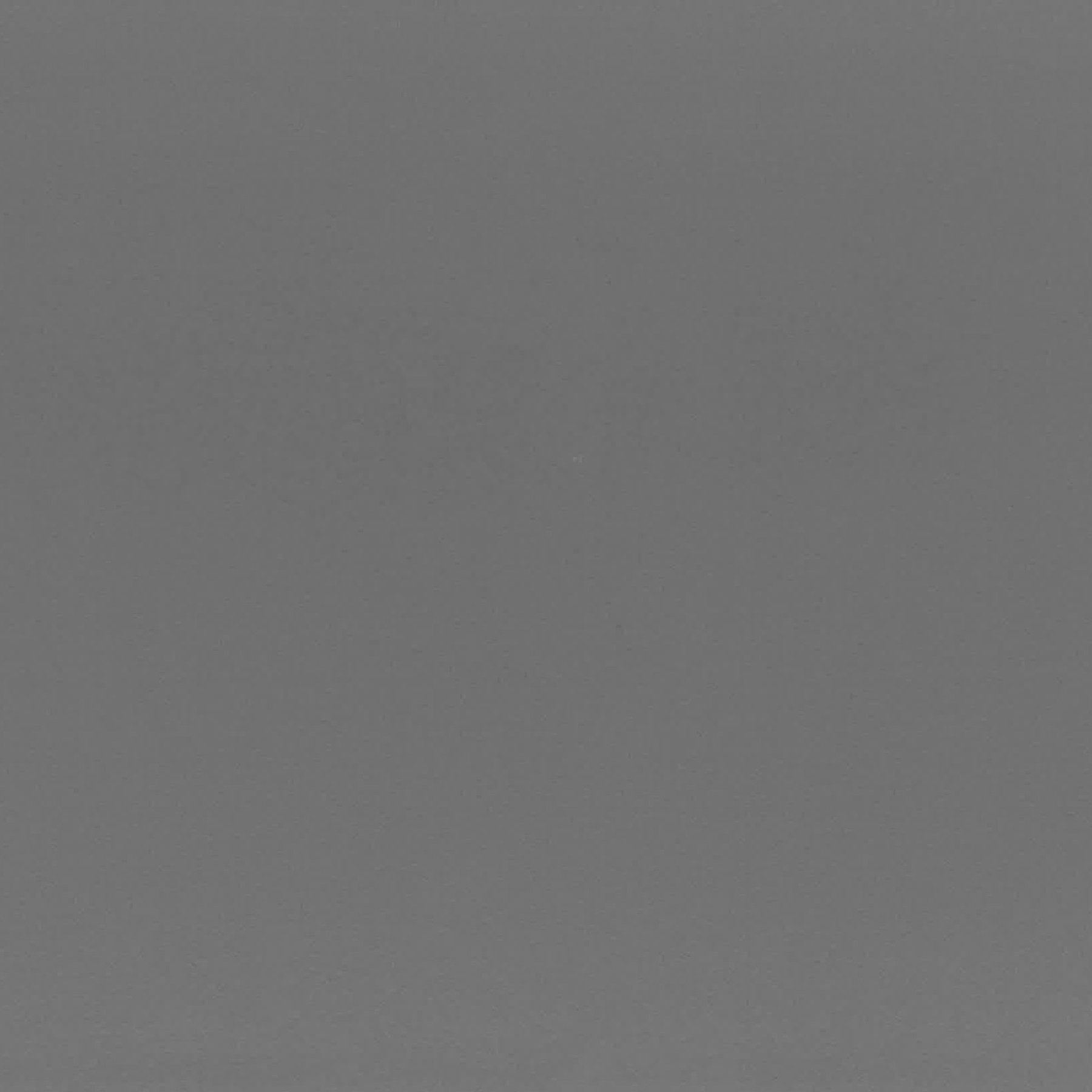 Fabriano Cardboard Elle Erre, 50 x 70 cm, 220 g/m2, No. 122, graphite