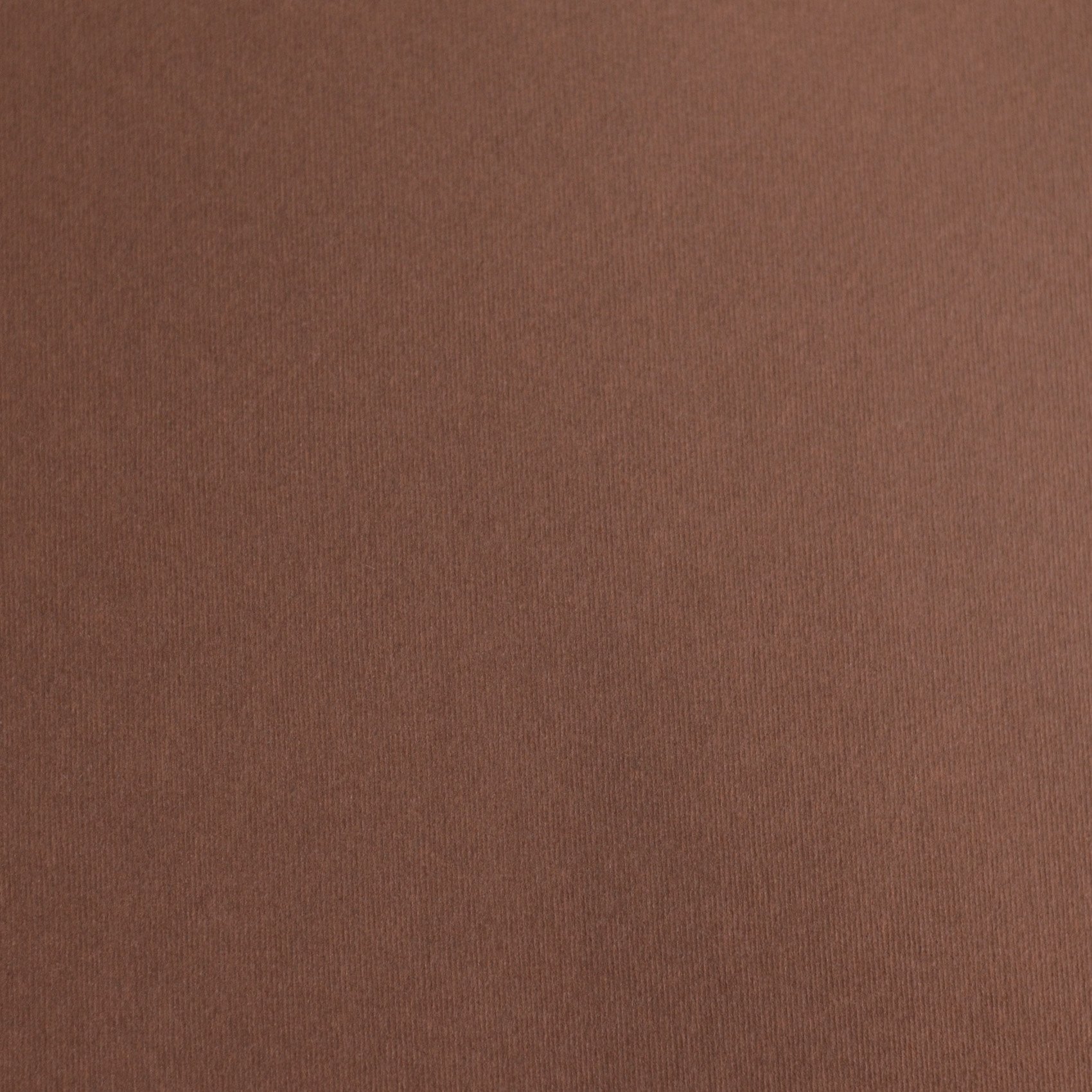 Fabriano Cardboard Elle Erre, 70 x 100 cm, 220 gsm, No. 106, Dark Brown