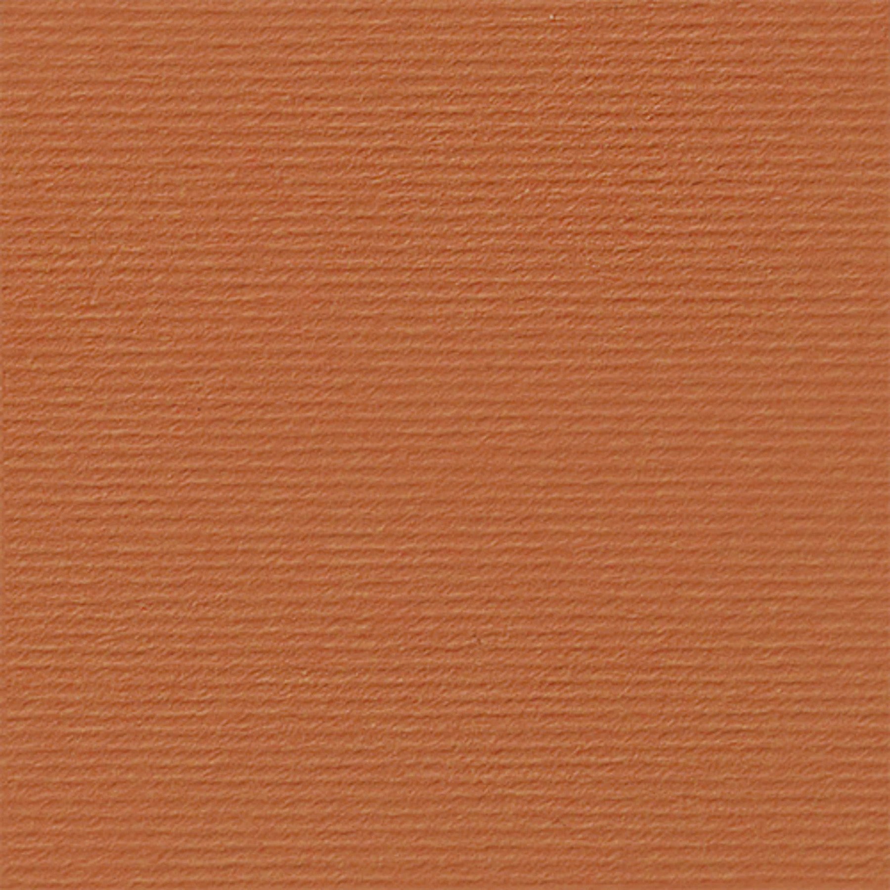 Fabriano Cardboard Elle Erre, 70 x 100 cm, 220 g/m2, No.119, light brown
