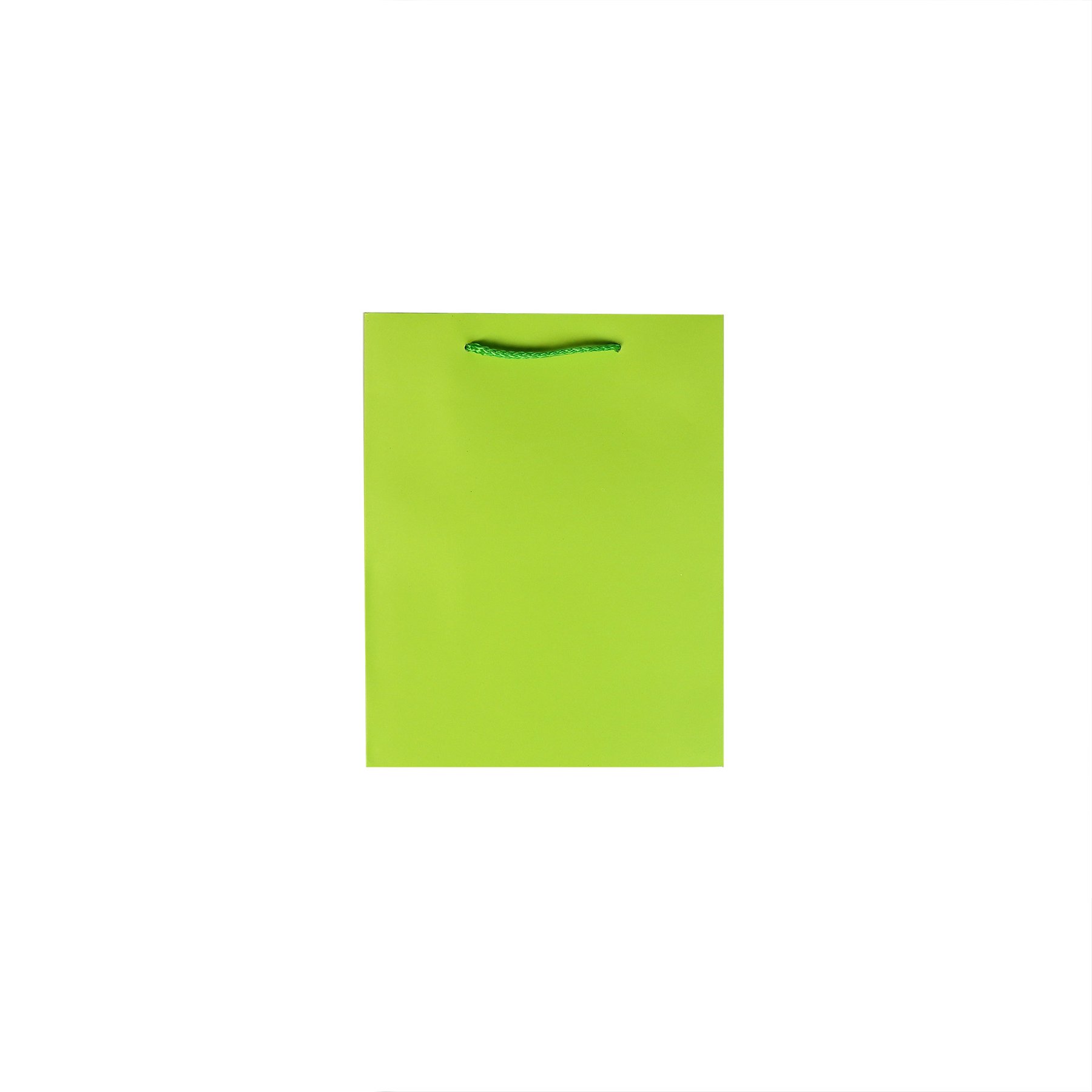 Gift bag, 18 ? 23 ? 10 cm, green