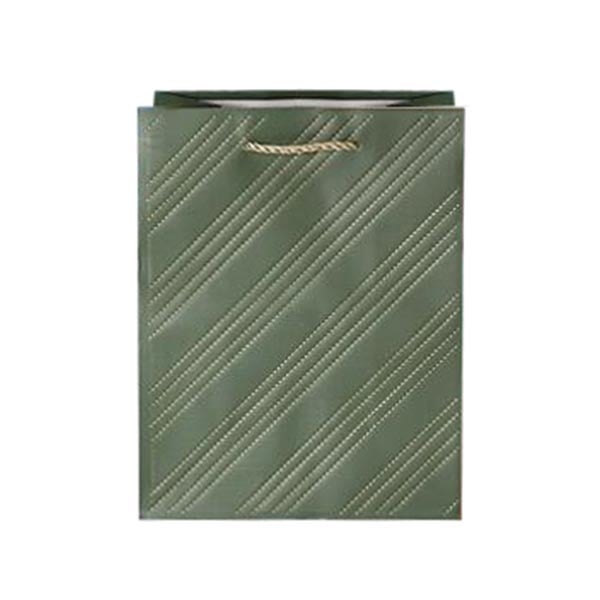Gift bag, stitch imitation, 18 x 23 x 10 cm, green