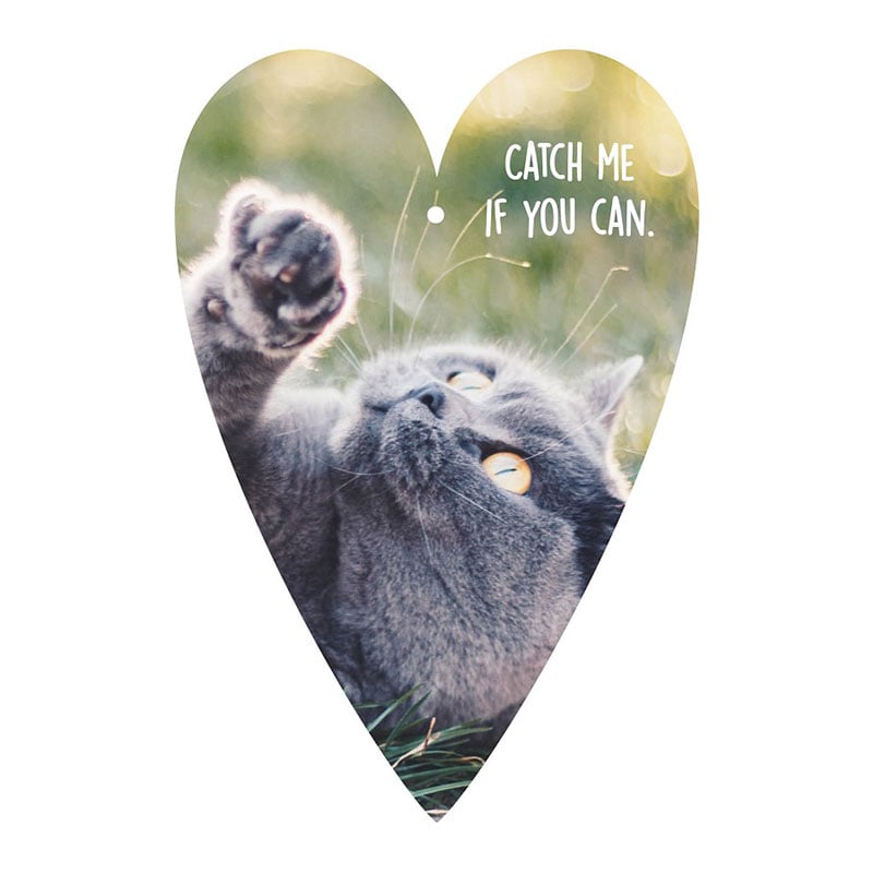Gespaensterwald Card-tag, cat