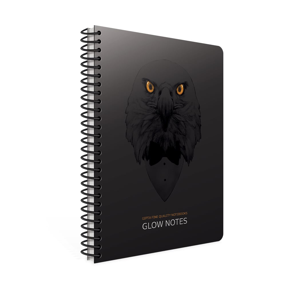 Gipta Notebook King, A4, white paper, small squares, cardboard cover, spiral, 60 sheets